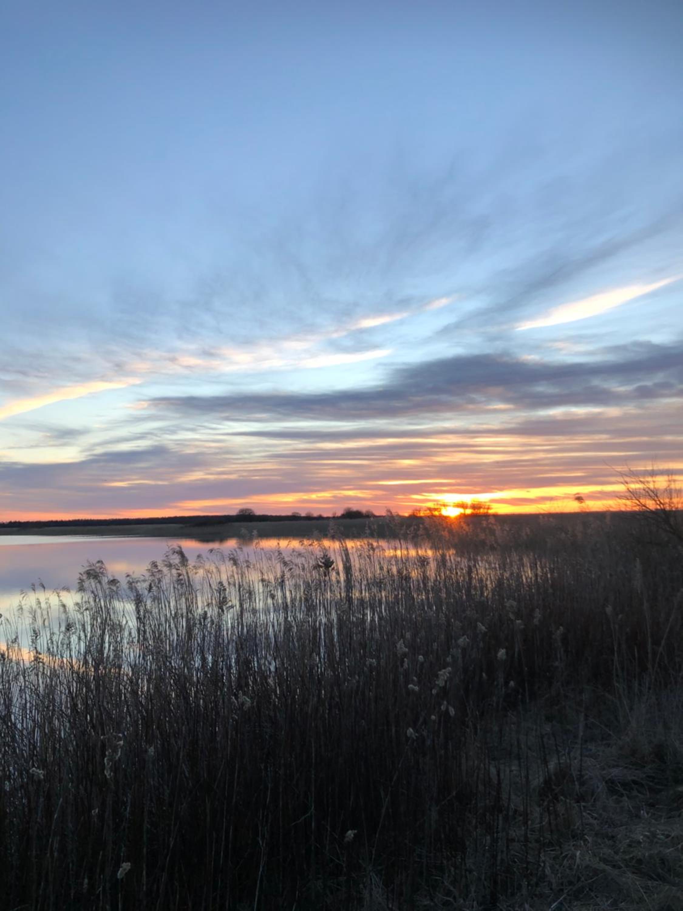 Naturlig Ro