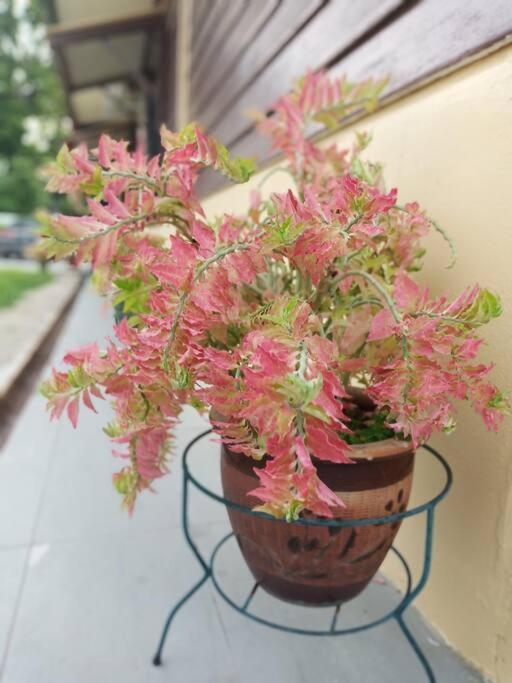 Ipoh Buntong Corner homestay photo 6