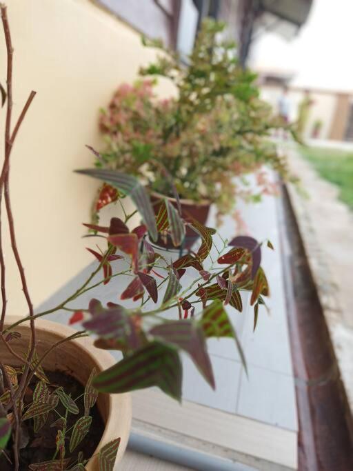 Ipoh Buntong Corner homestay photo 8