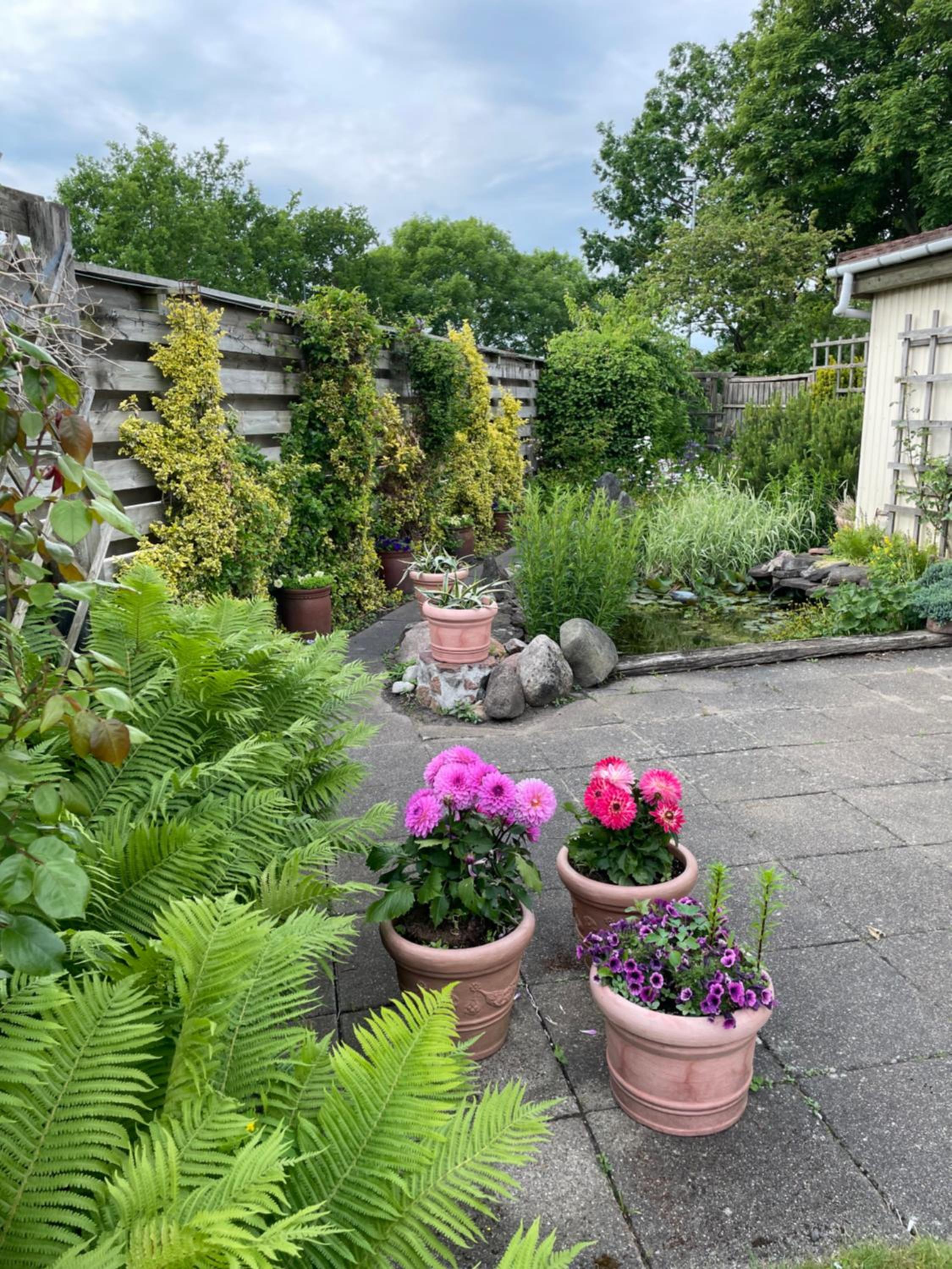 Naturlig Ro