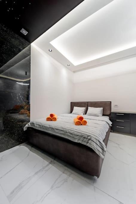 Dark Nest 3 Belgrade Apartments view 4