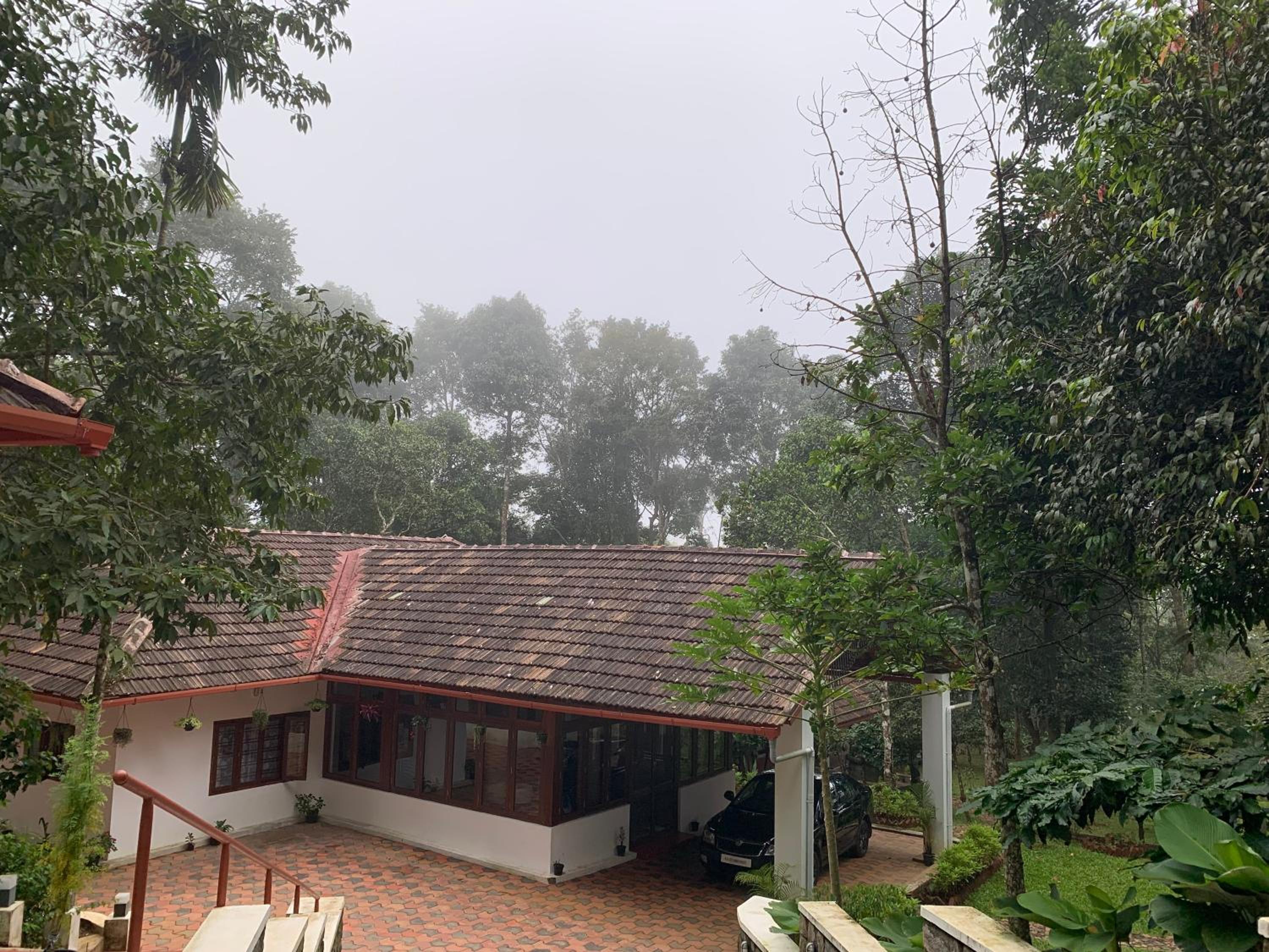 Cuppa Creek Homestay