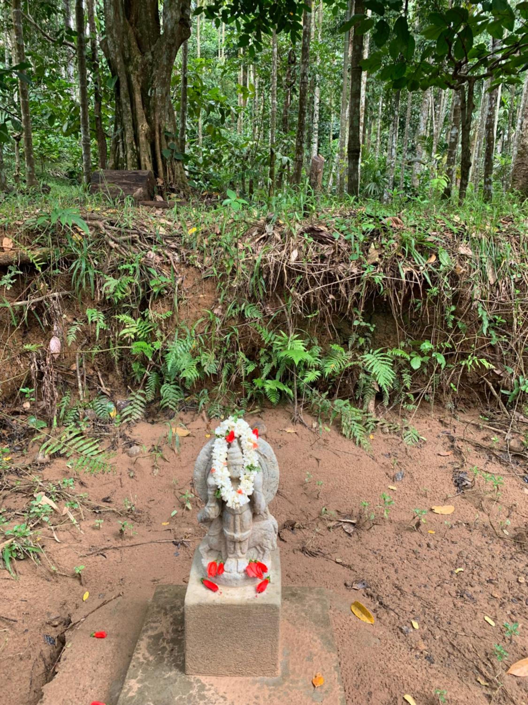 Cuppa Creek Homestay