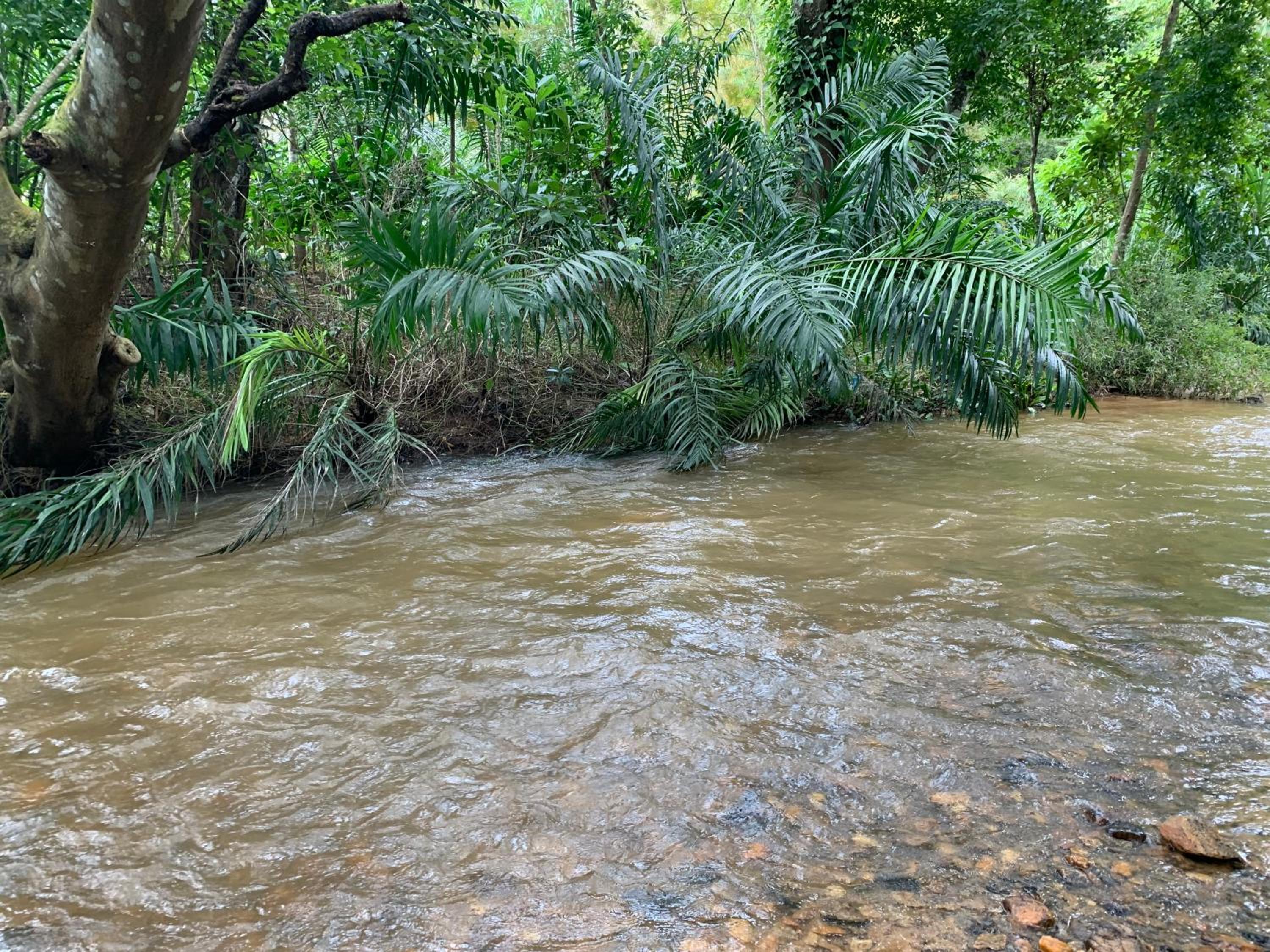 Cuppa Creek Homestay