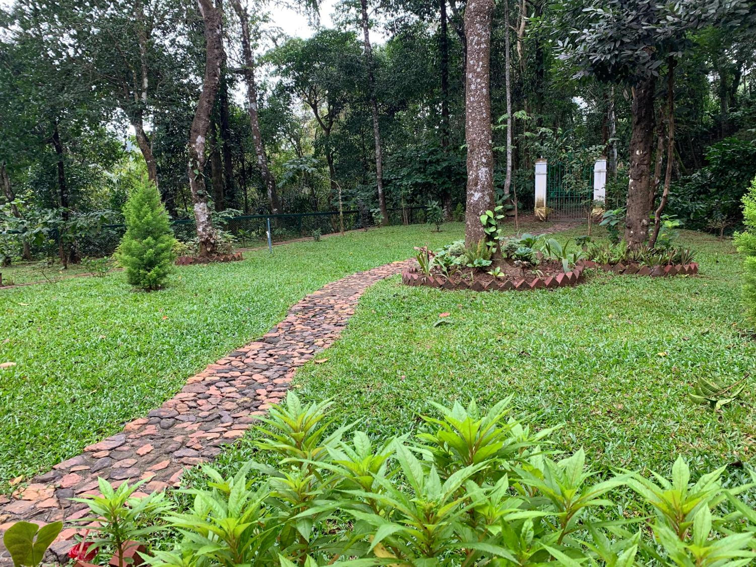 Cuppa Creek Homestay
