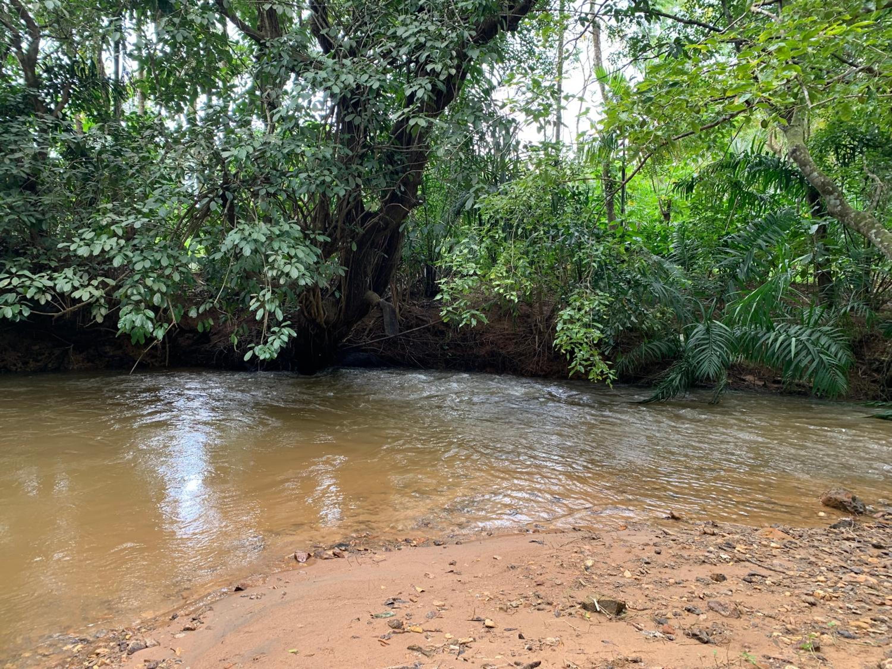 Cuppa Creek Homestay