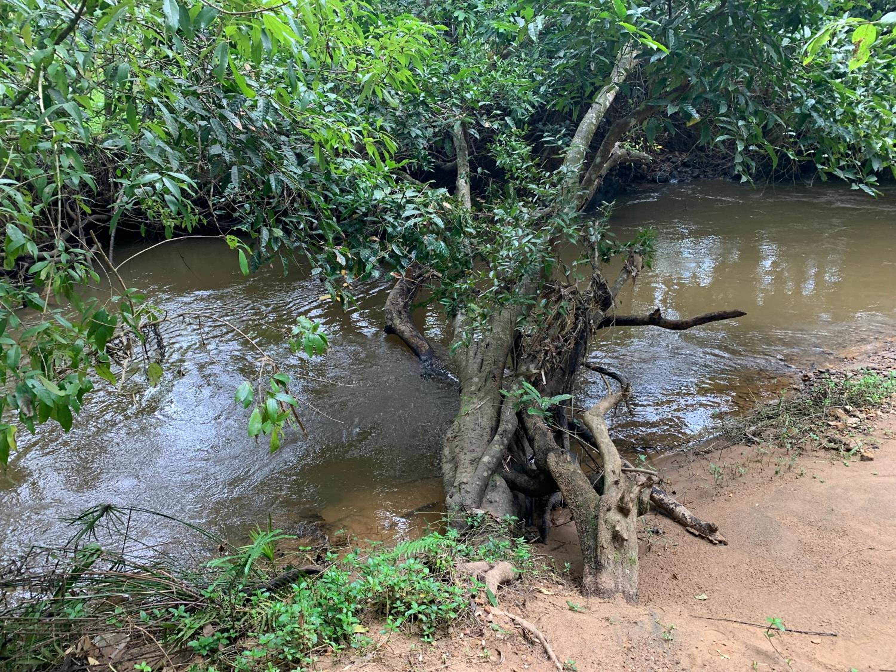 Cuppa Creek Homestay