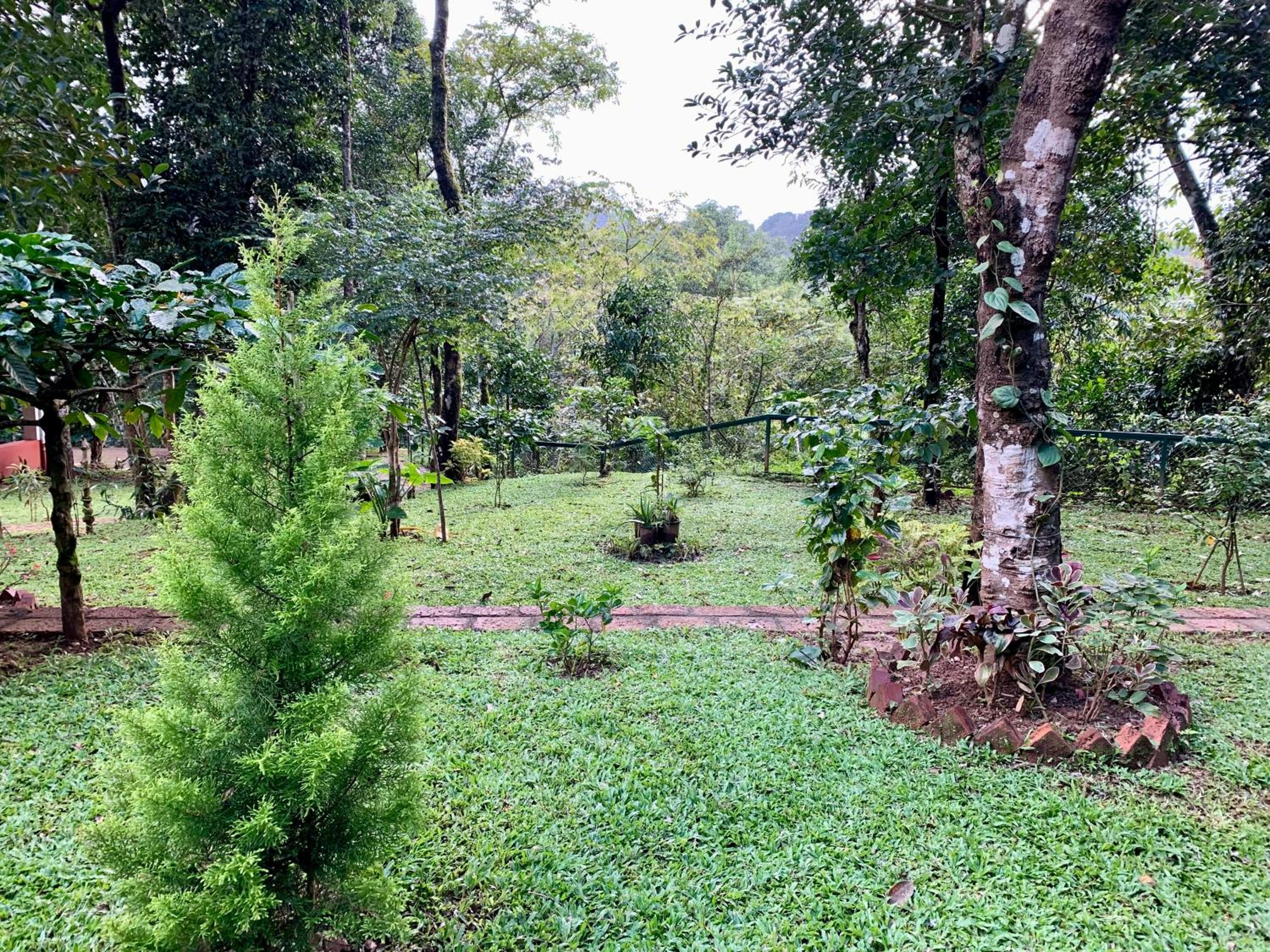 Cuppa Creek Homestay