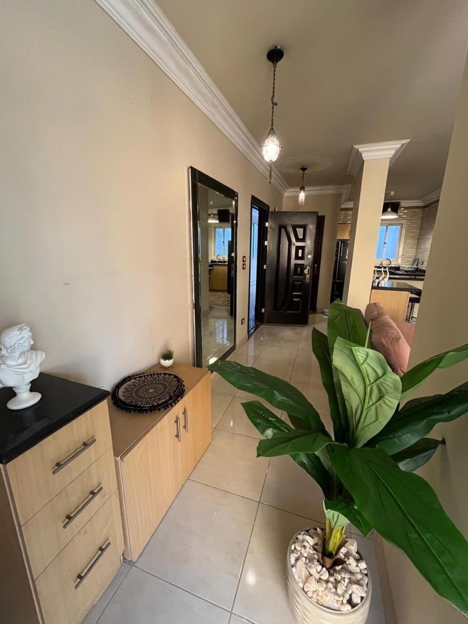 Zamalek big terrace 2BR
