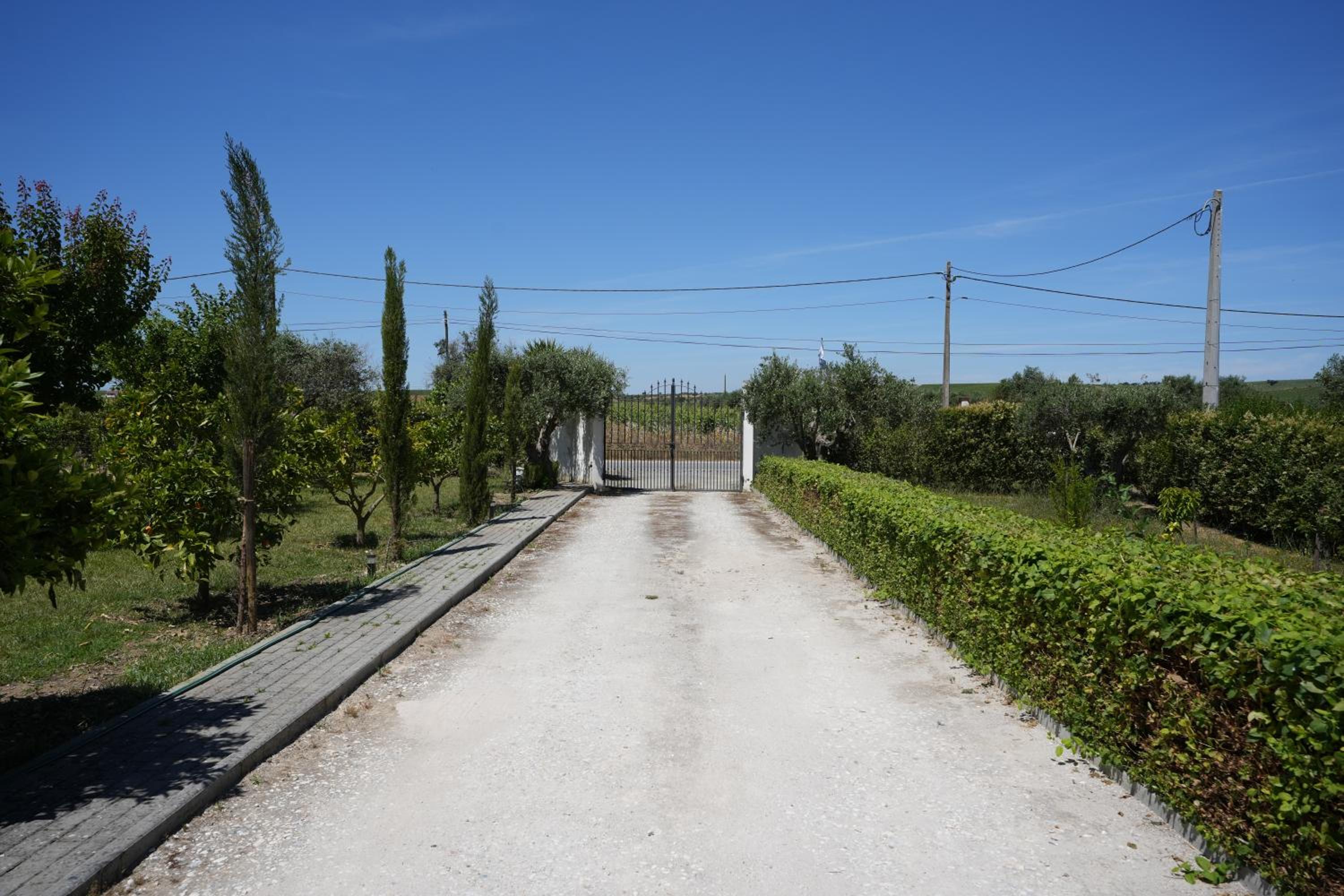 Photo 27