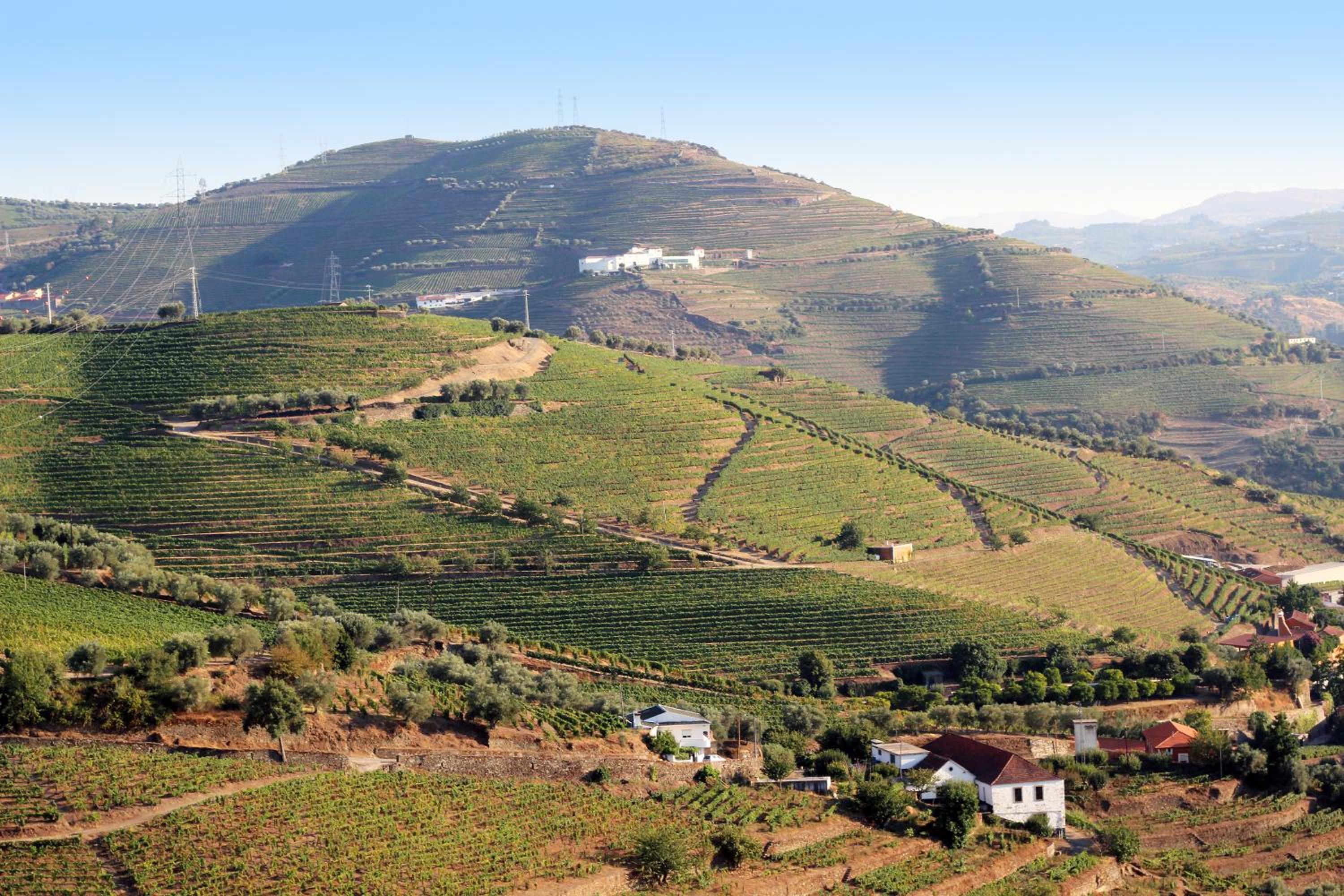 Quinta da Pitarrela