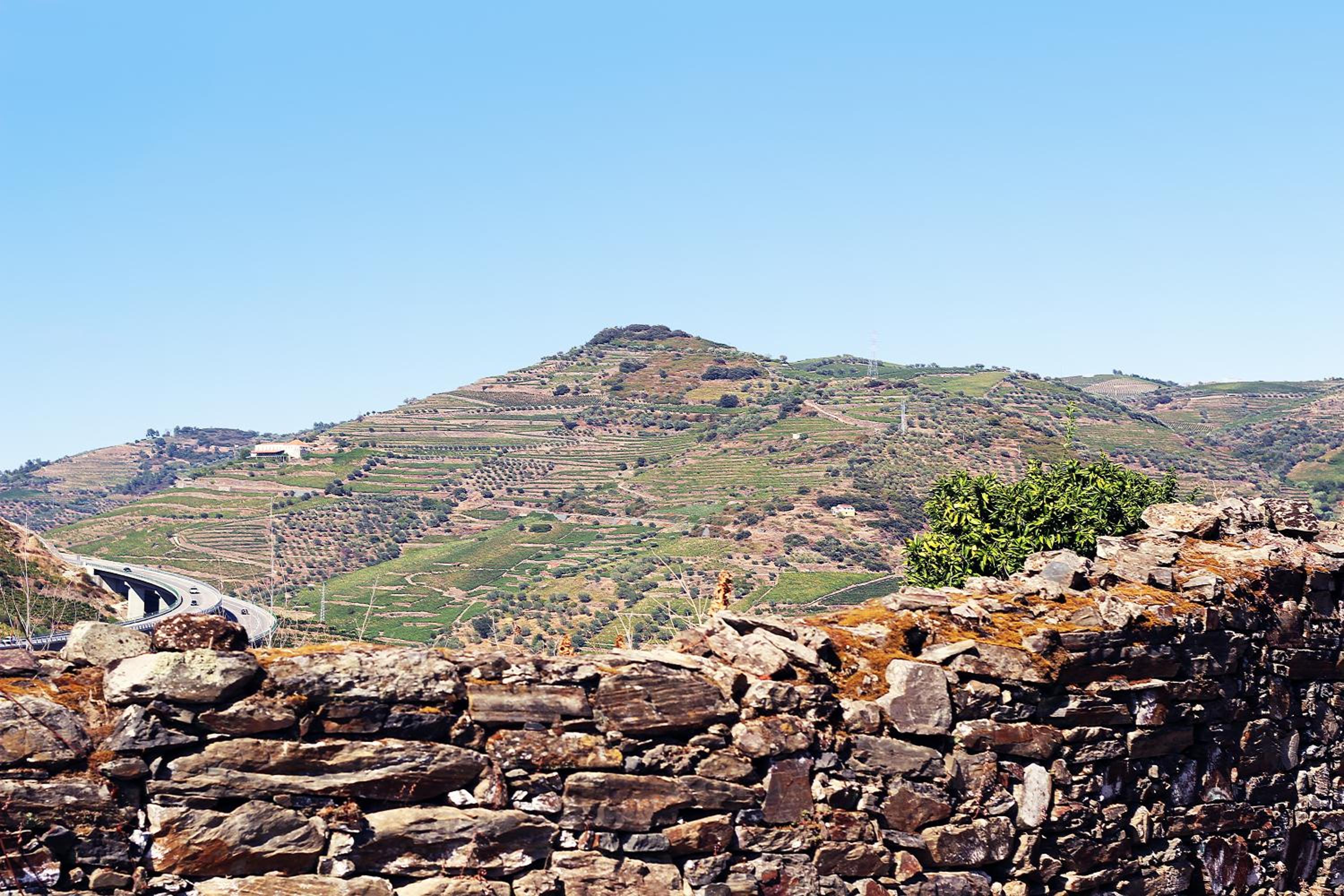 Quinta da Pitarrela