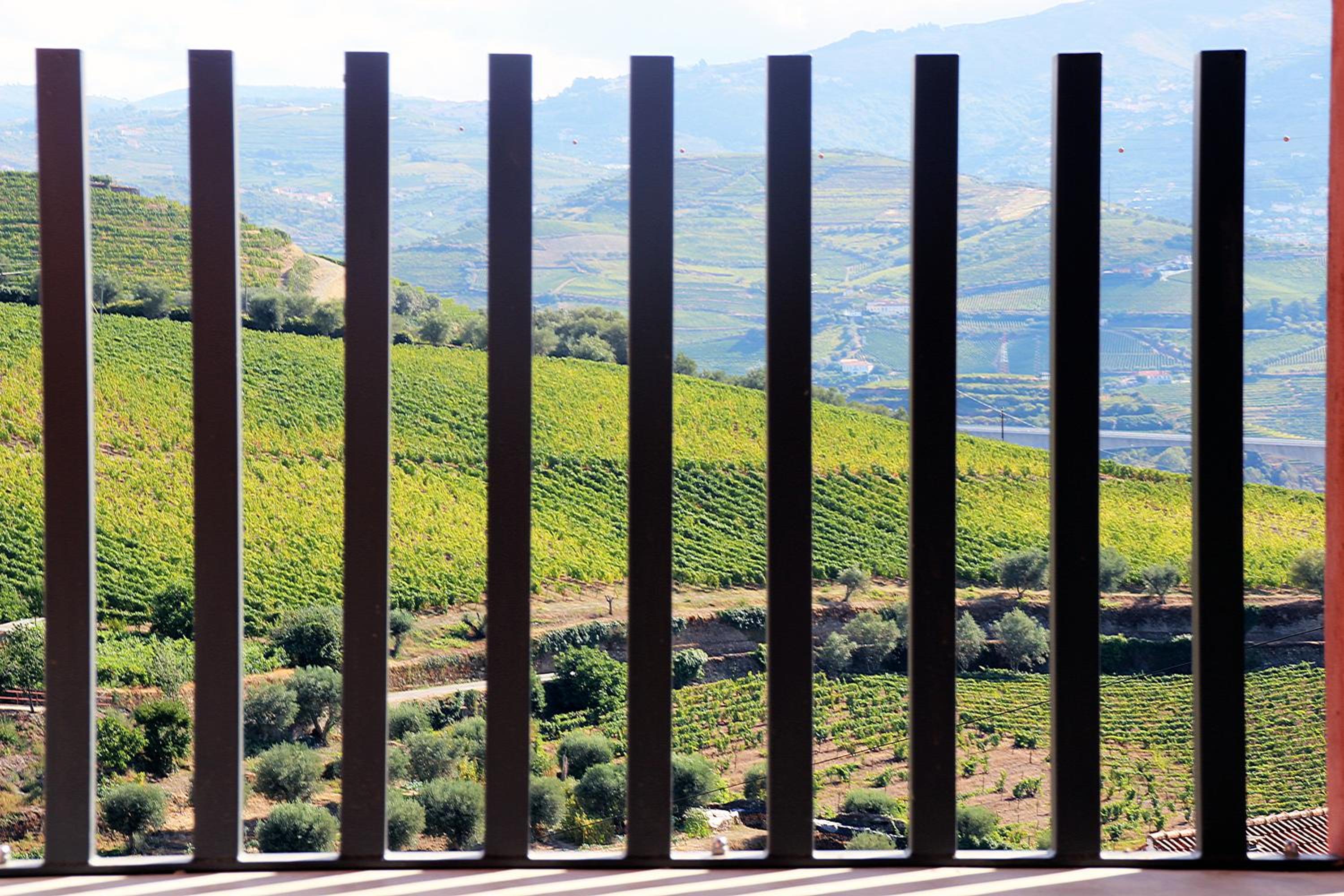 Quinta da Pitarrela