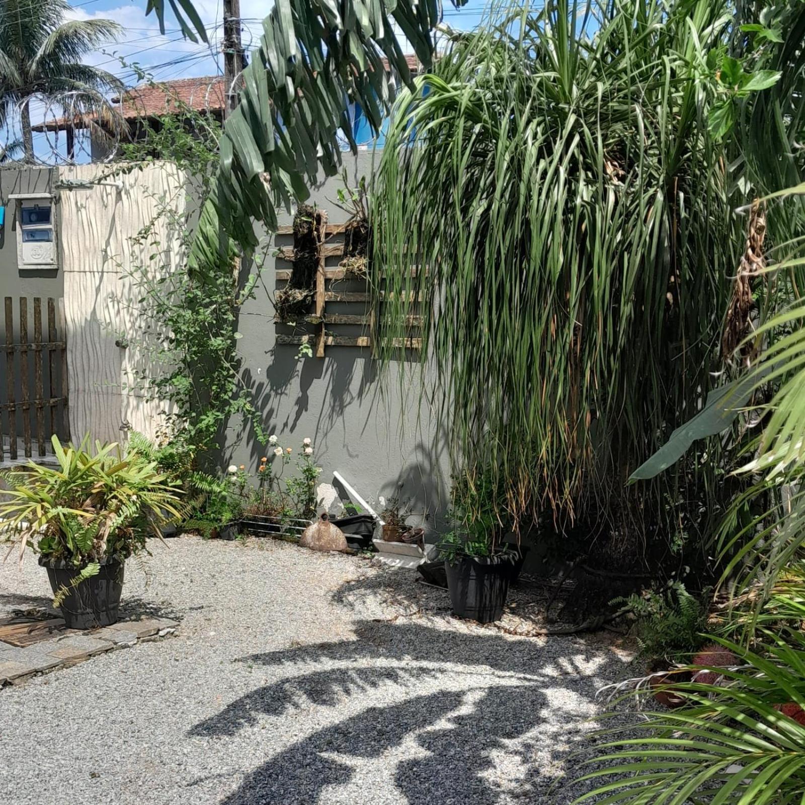 Casa Luciano Bertioga SP
