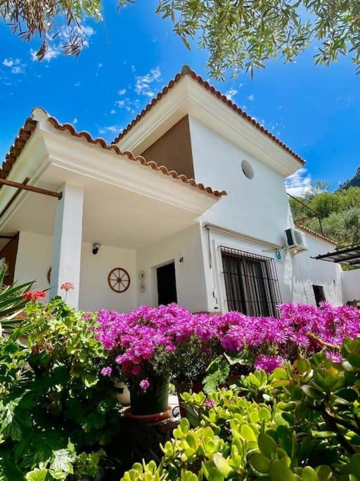 Casa La Roca view 5