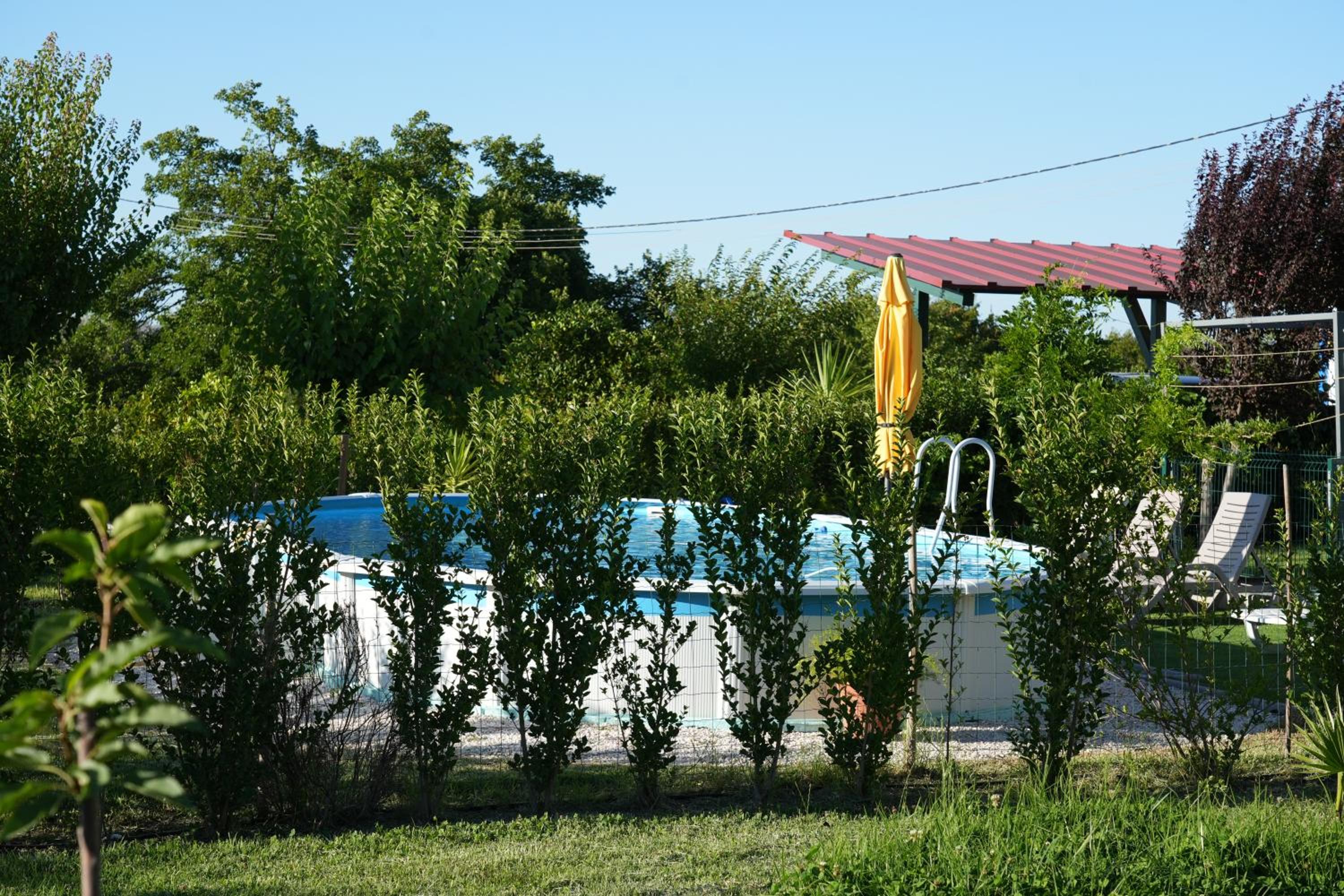 Photo 37
