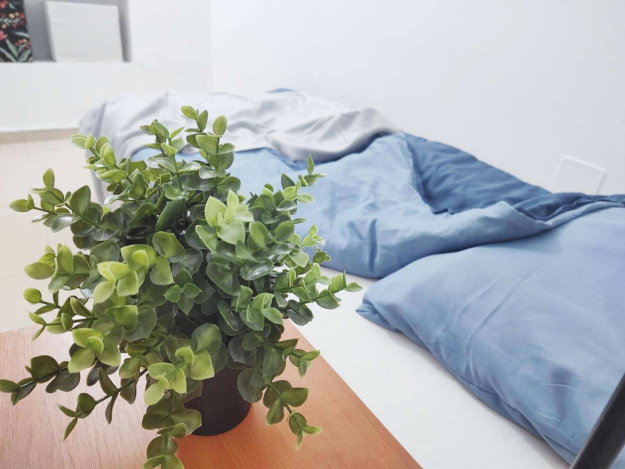 Old town Bucharest- Shared Apartment