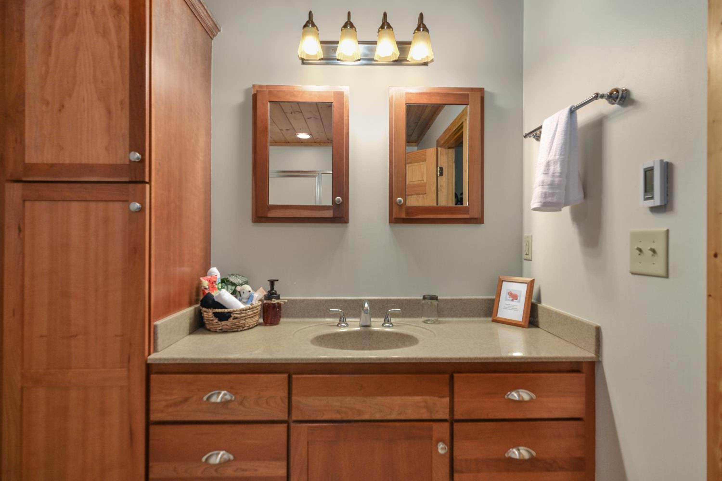 Luxury Cabin Hot Tub, Theater, Dog Run & Fire Pit
