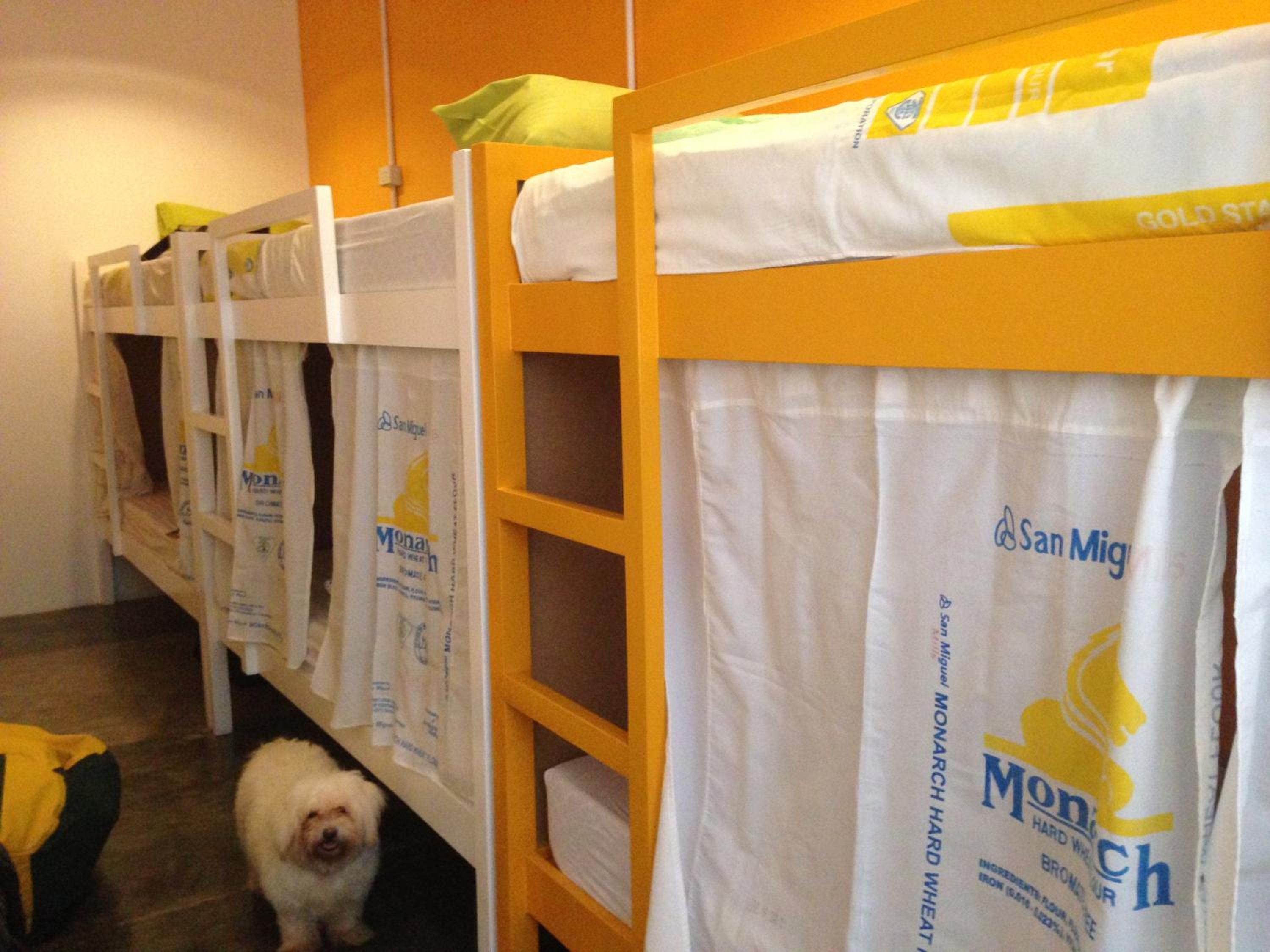 Moon Fools Hostel