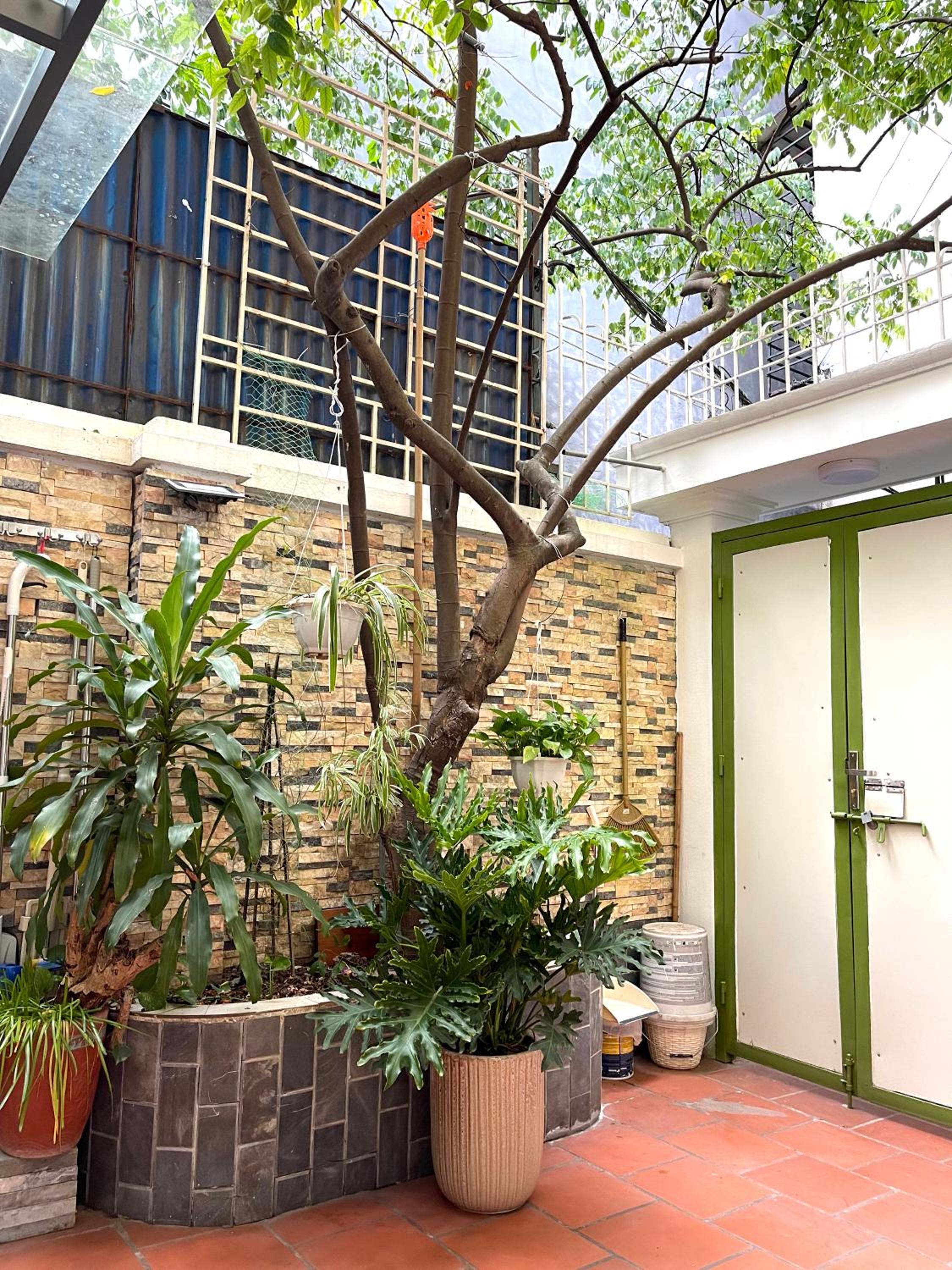 Peaceful house