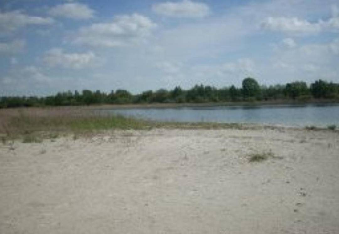 Photo 42