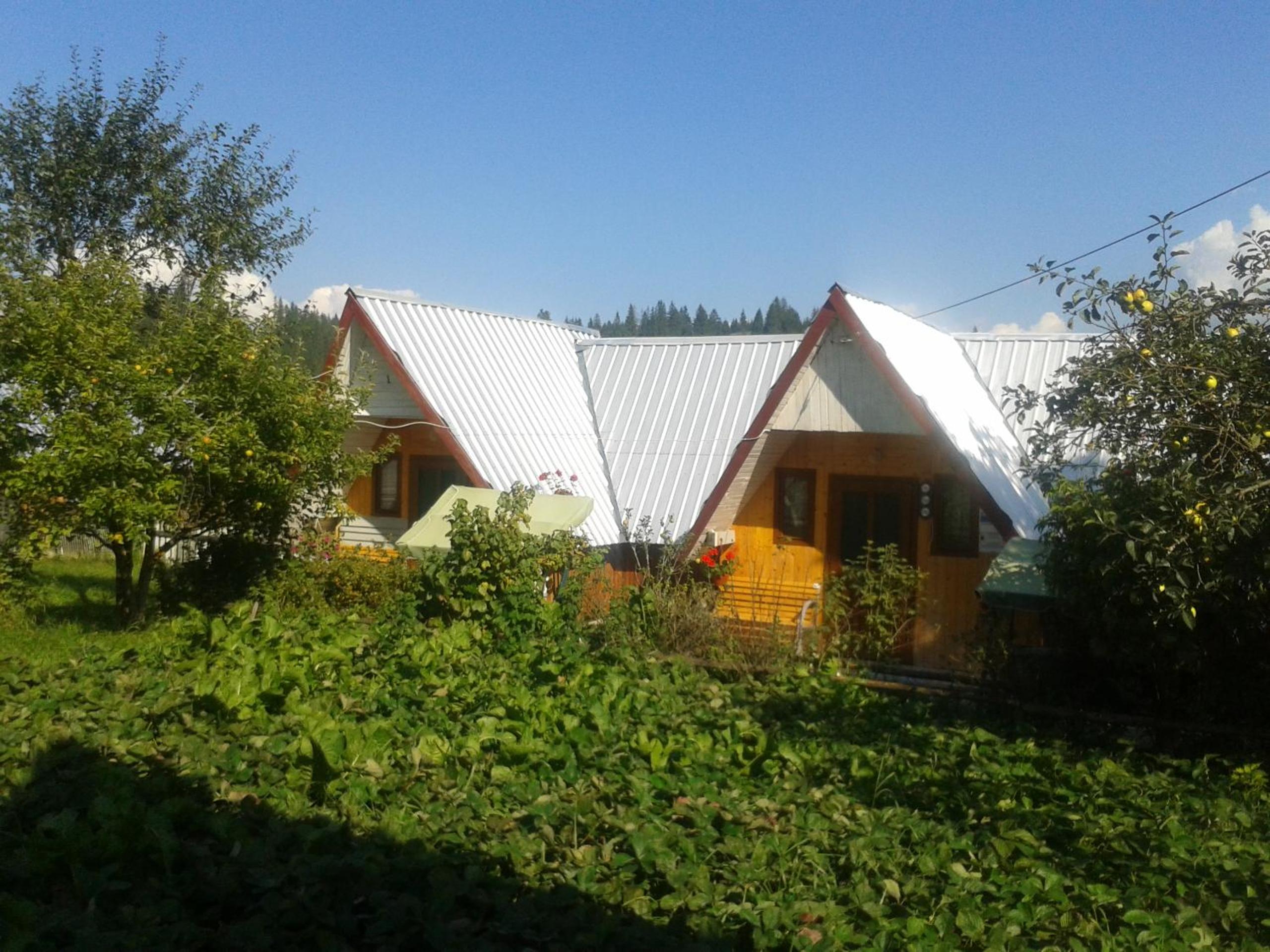 Photo 40