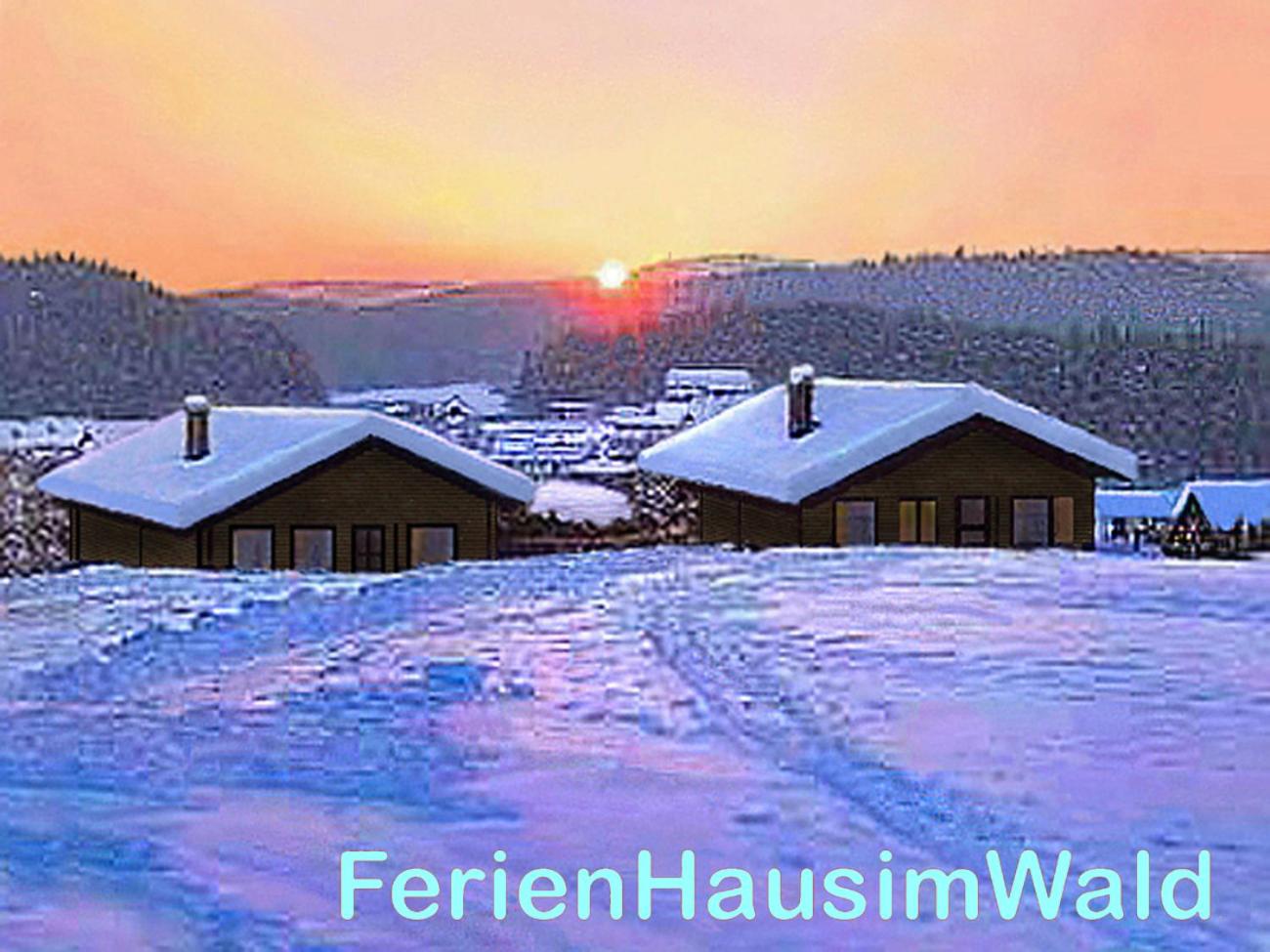 BayerischerWald-Ferien-Blockhaus-Panoramablick-Grafenau Haus im Wald-Vogelthenne 19, fast Alleinlage-ILZtal-Blick nähe Rothauer, Saldenburger, Ebenreuther 