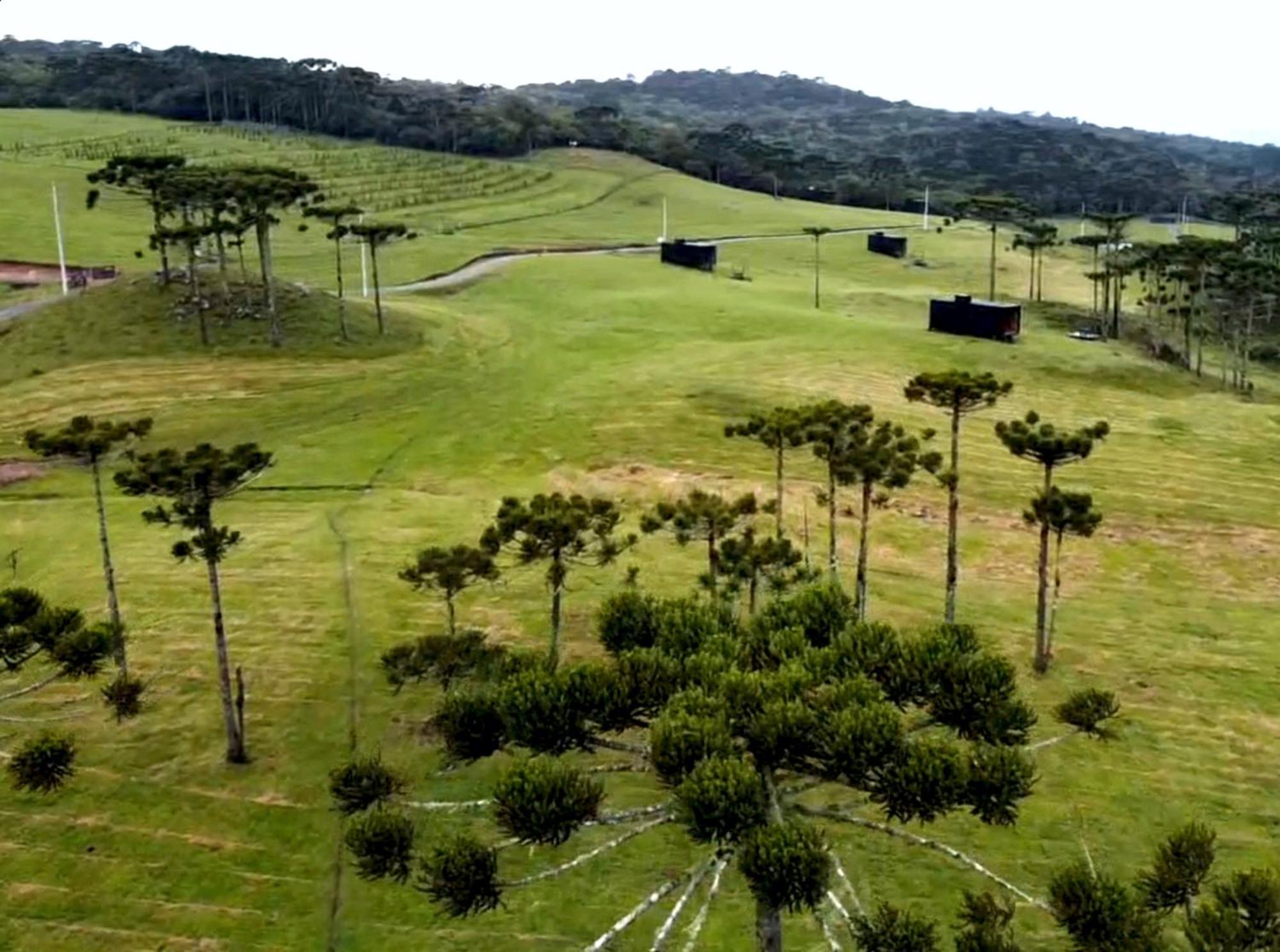 Brumas Casa de Campo - Cambará do Sul