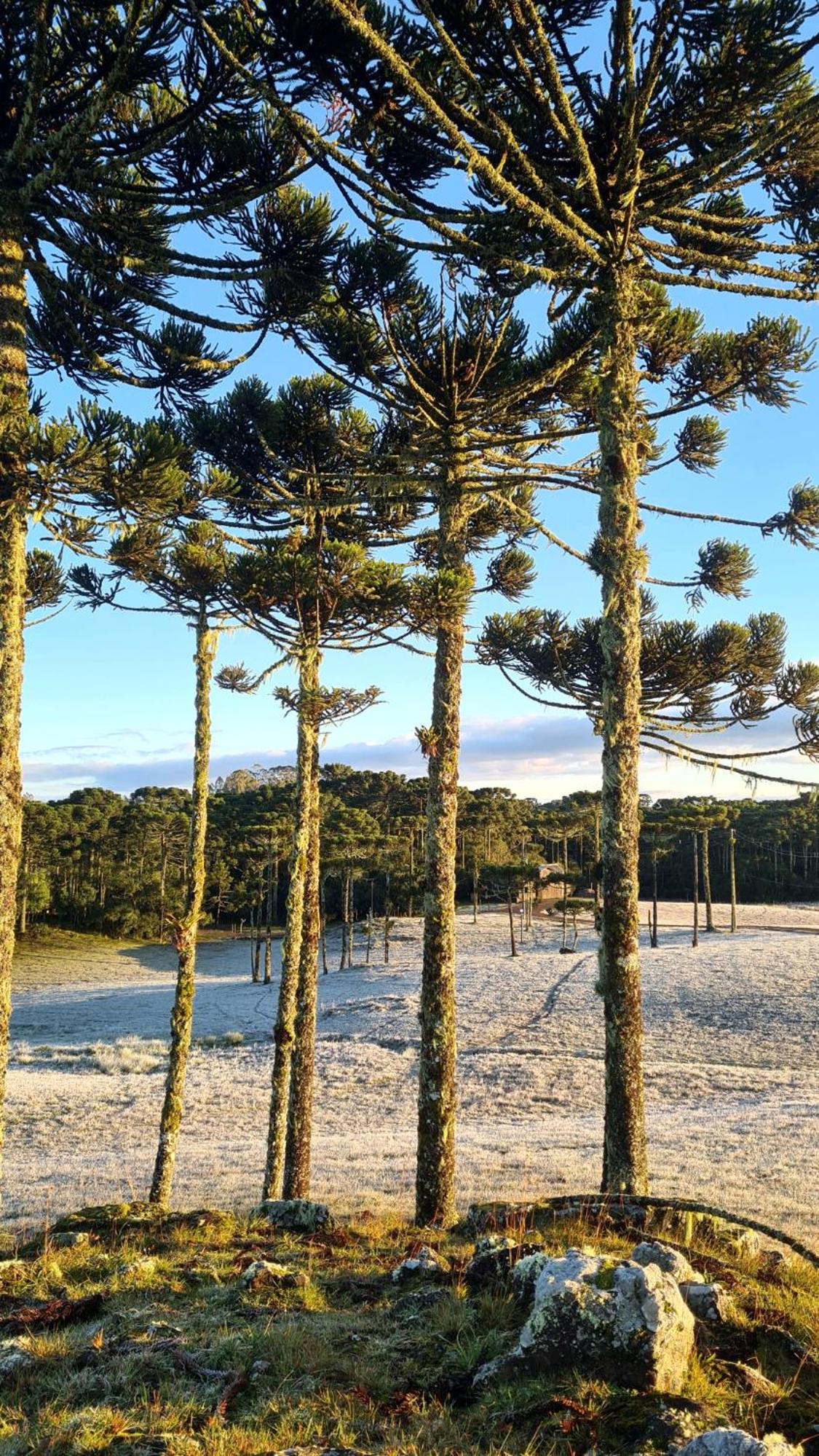 Brumas Casa de Campo - Cambará do Sul