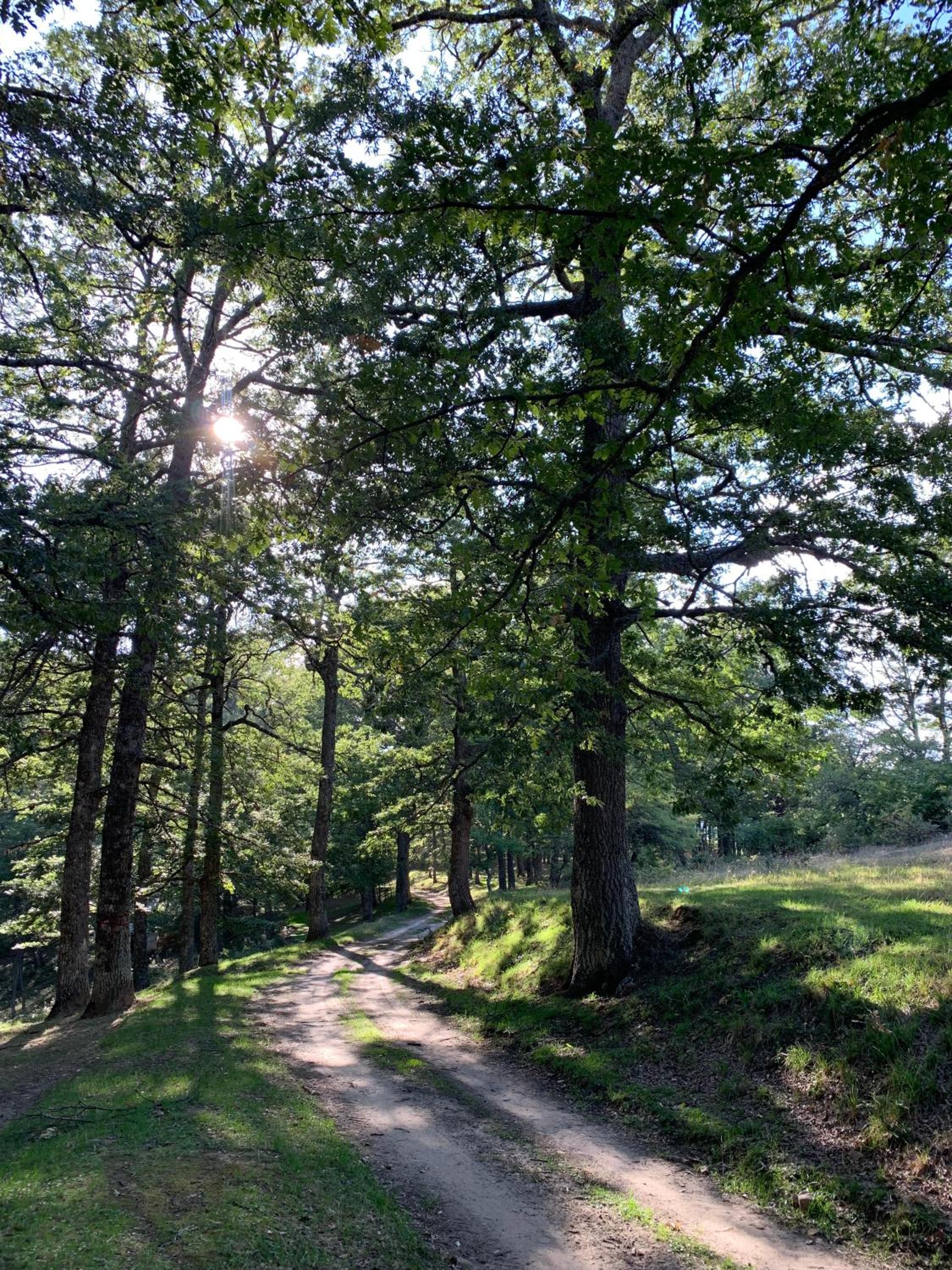 Aura - Glamping Experience
