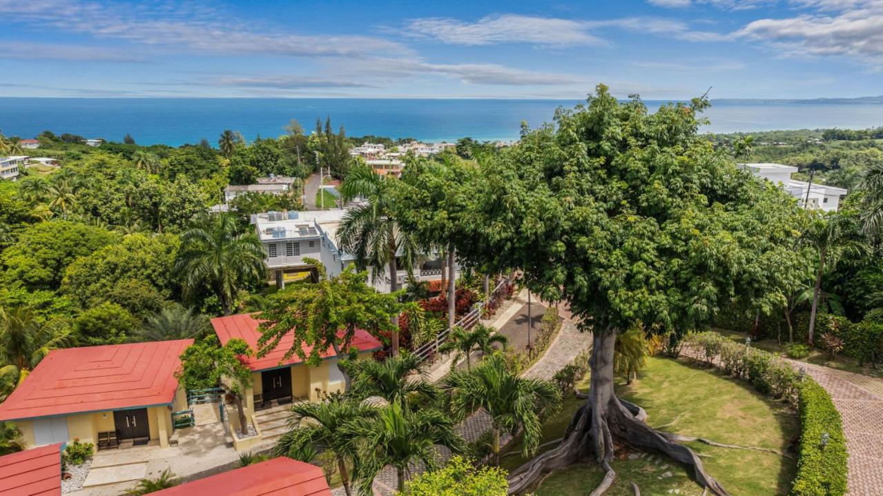 Casita 3 at Ceiba Tree Inn. Tranquility with Garden Views and Pergola with Ocean Overlook view 2