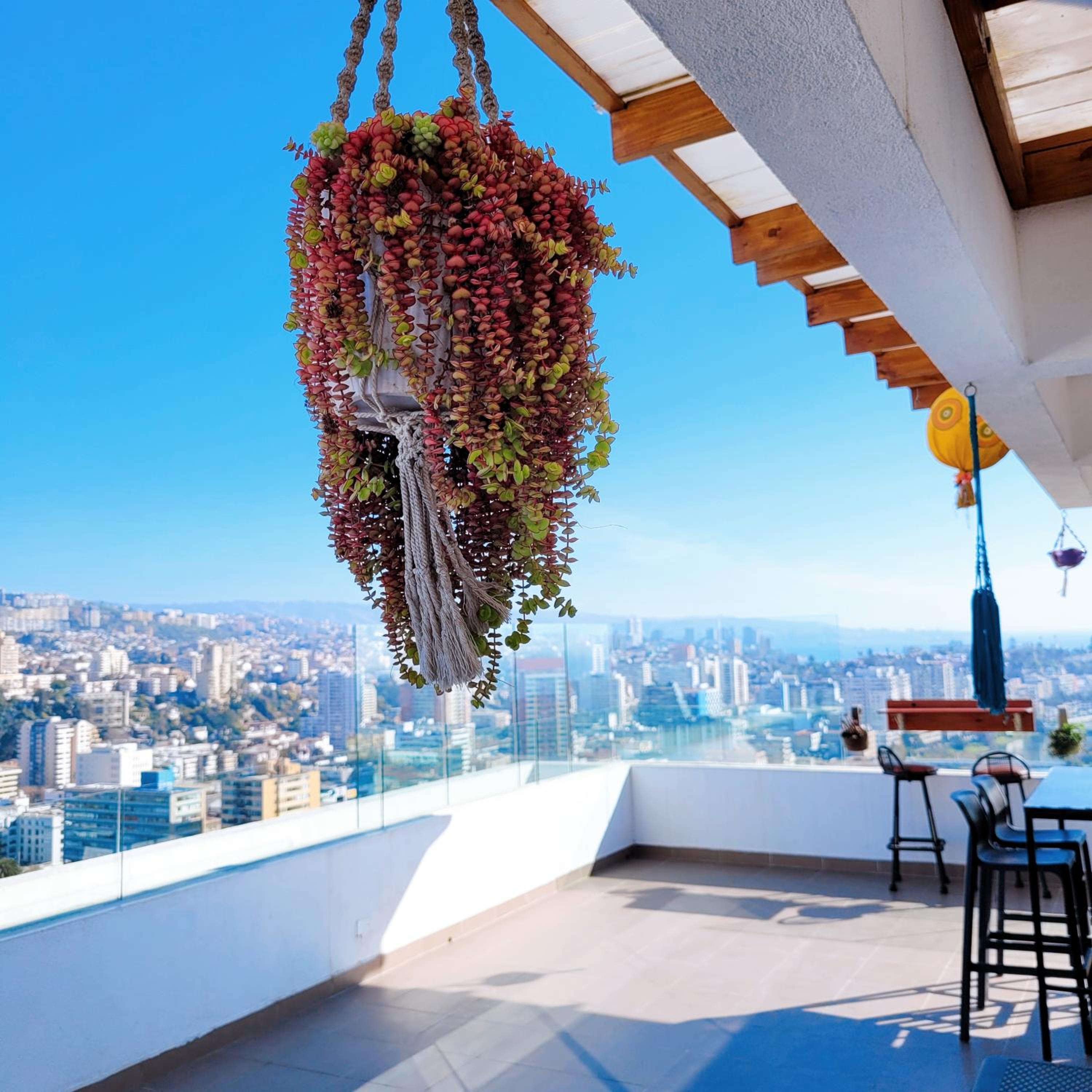 Terraza Vip 1
