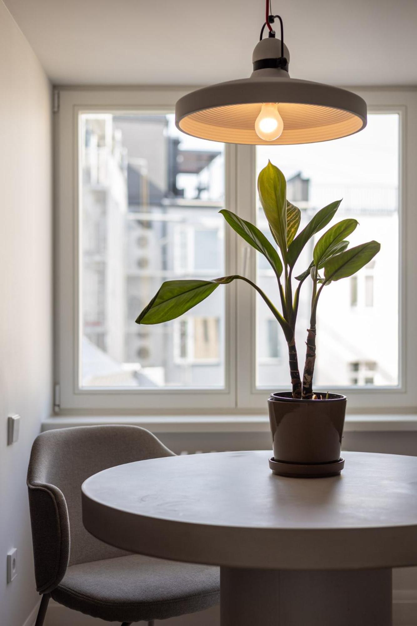 Tasteful 1bd City Centre Apartment