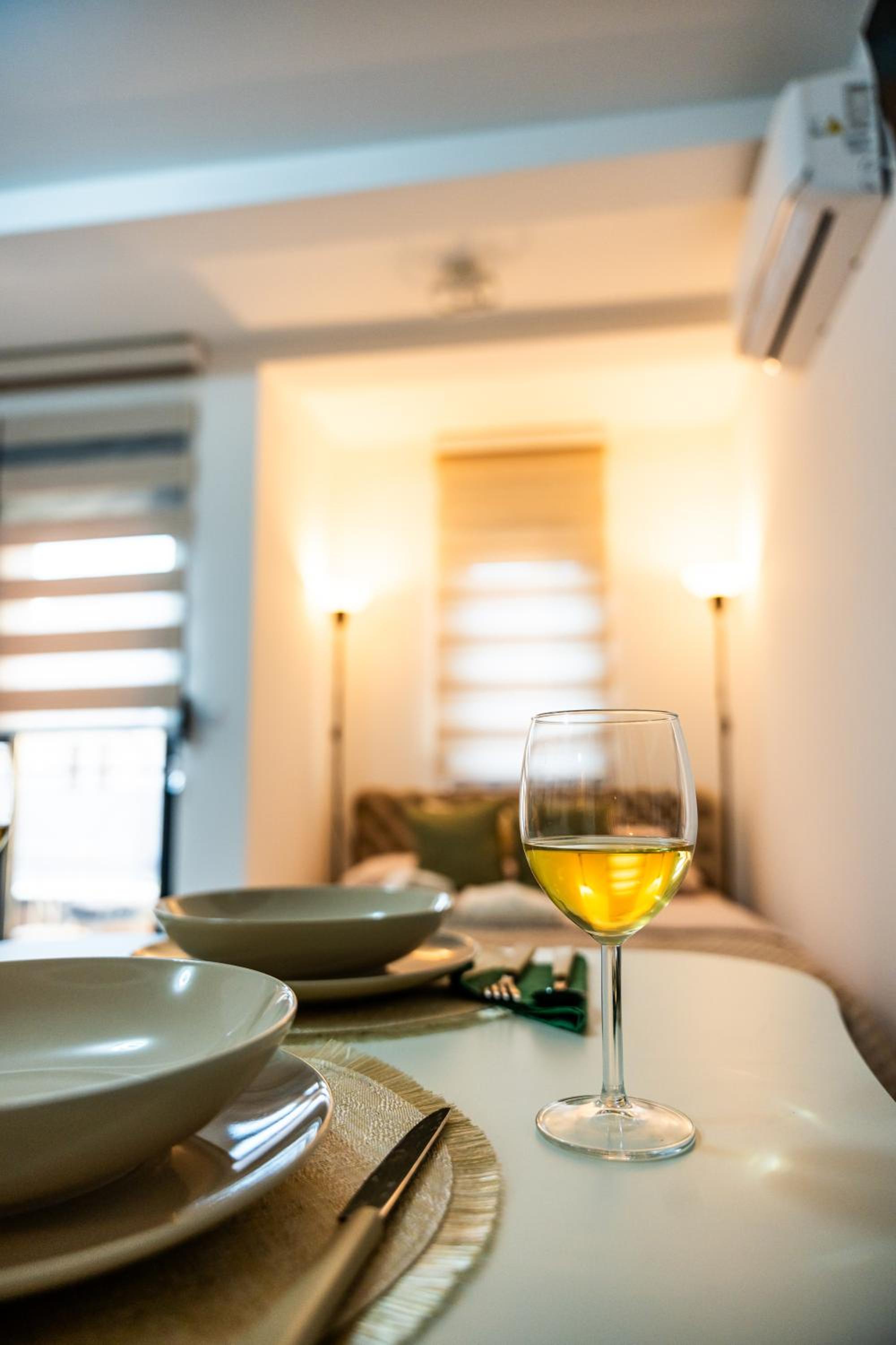 V LUX apartman Vrnjačka Banja view 4