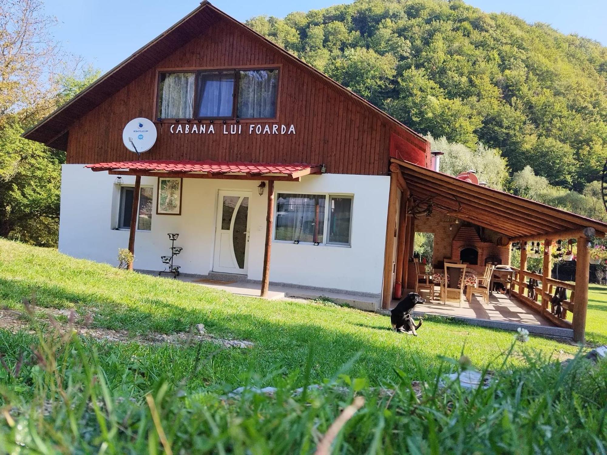 Cabana lui Foardă view 2