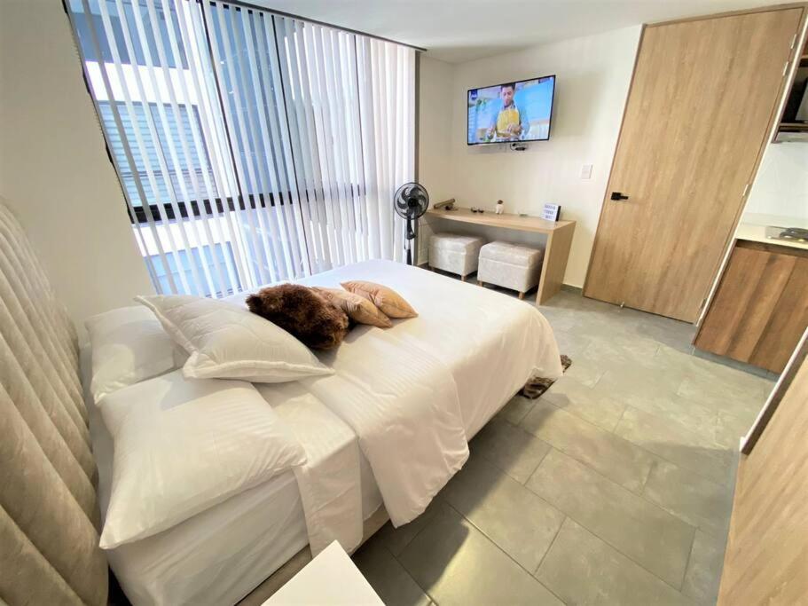 Estocolmo 305-Lindo Apartaestudio cerca al Portal del Quindio