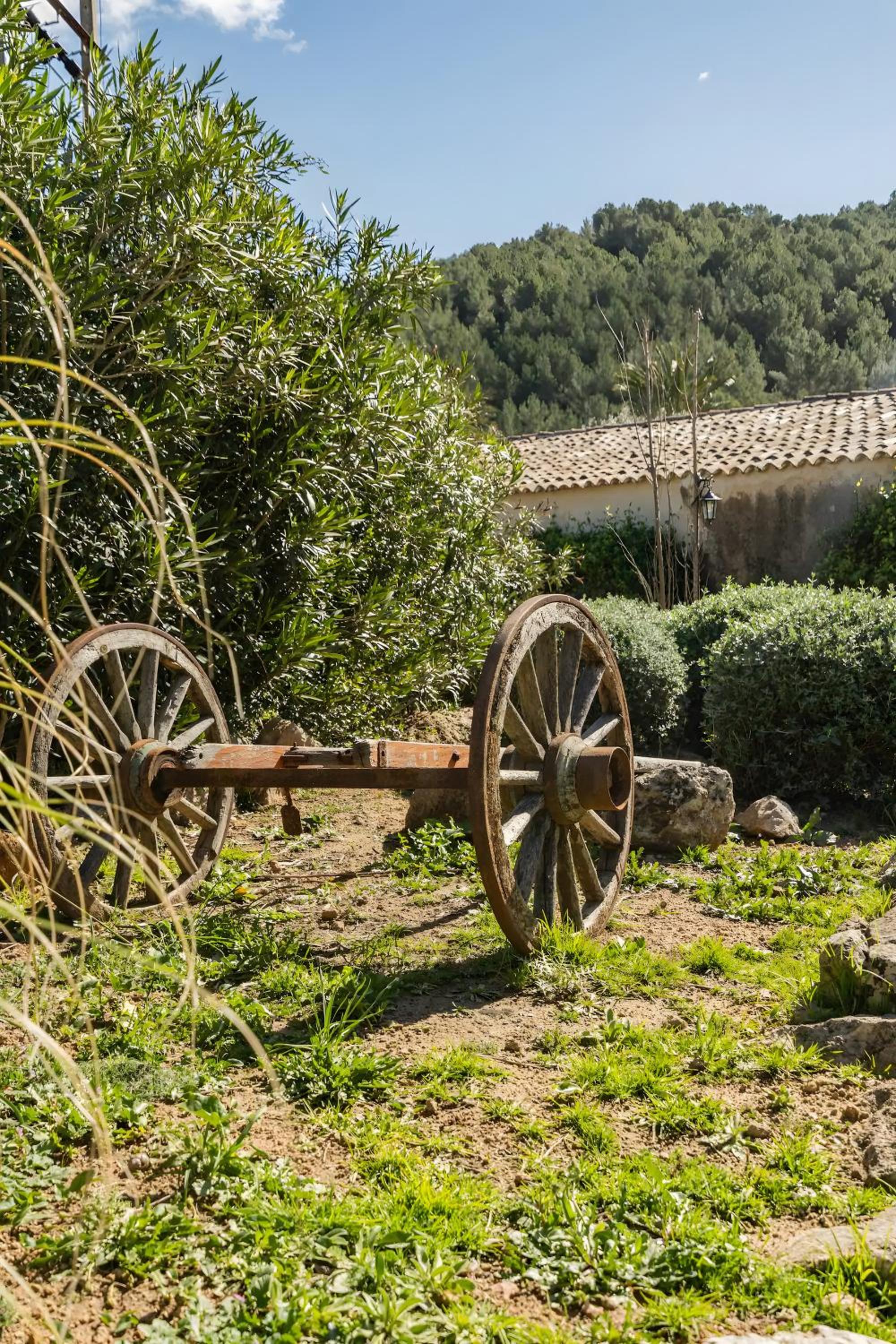 Son Burguet