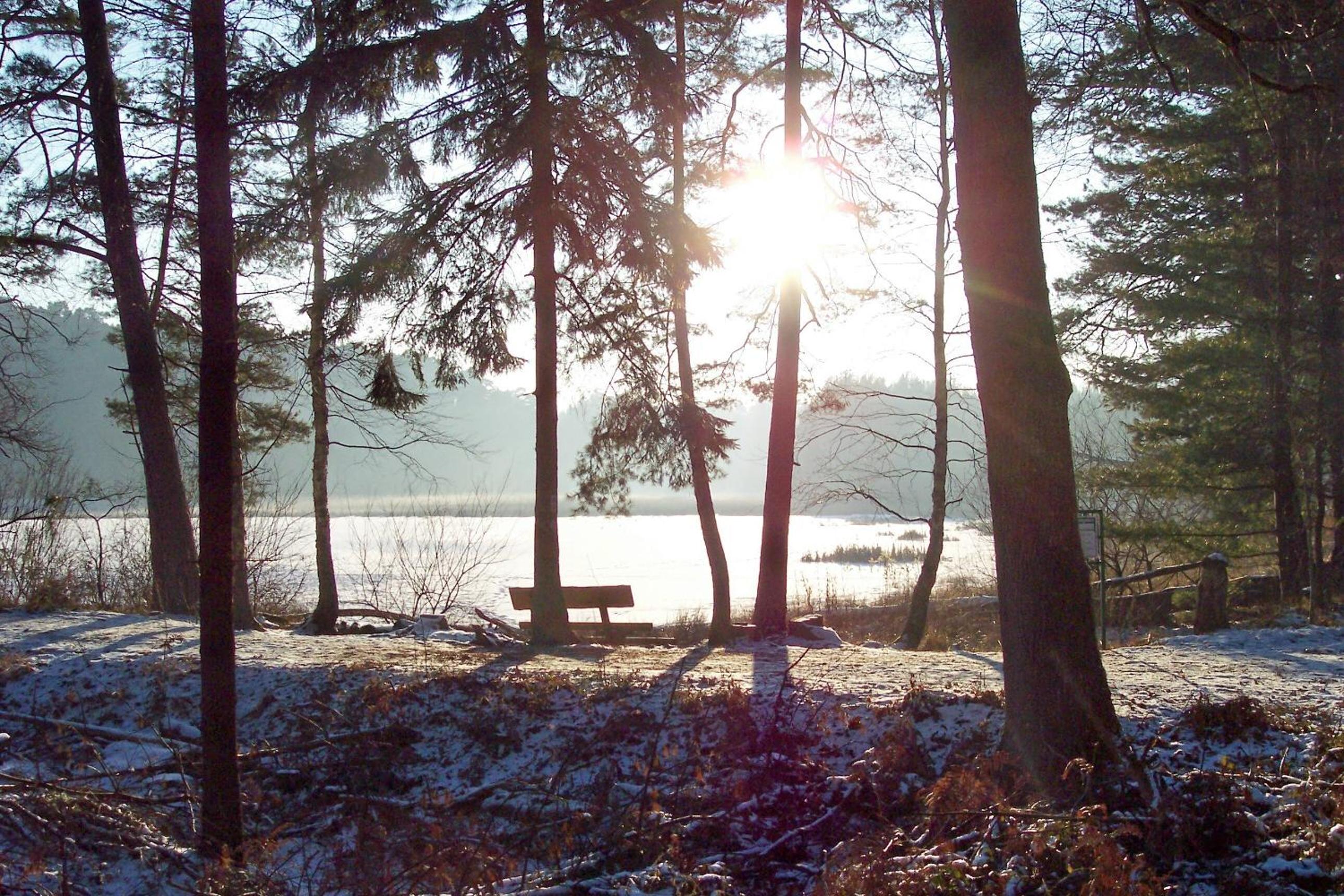 Ferienwohnungen 'Blick Zur Madonna' - Property Image 26