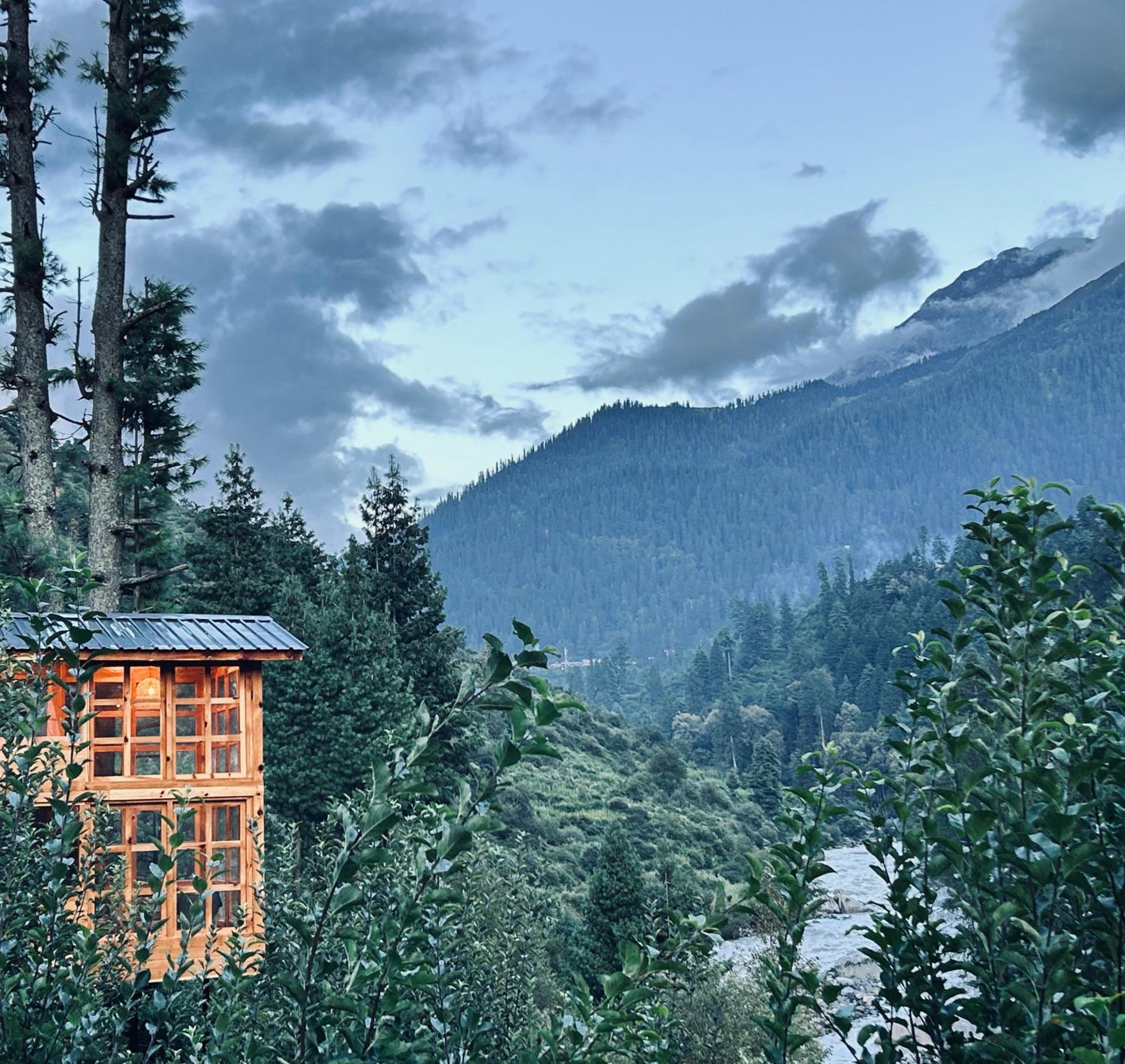 Sage Cabin Treehouse
