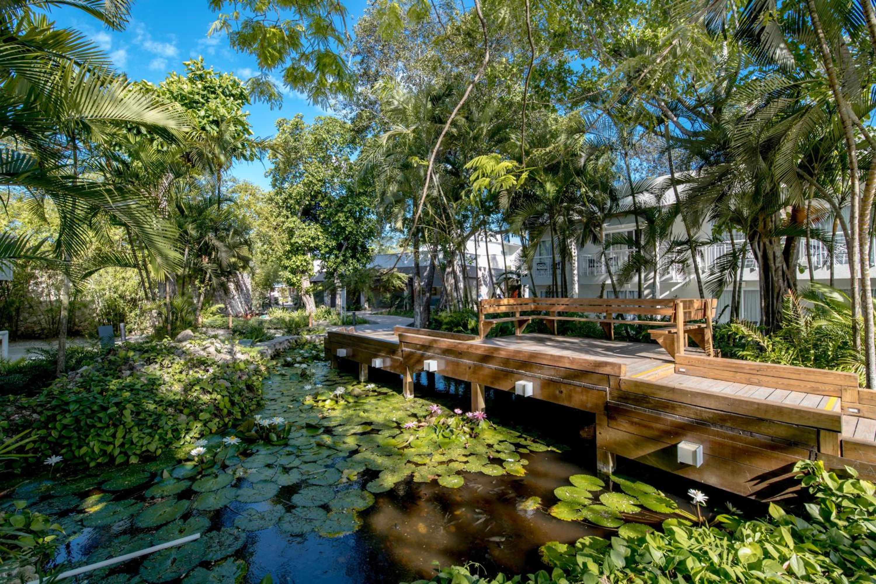 Juan Dolio Vacations - Emotions by Hodelpa - Juan Dolio - Property Image 91