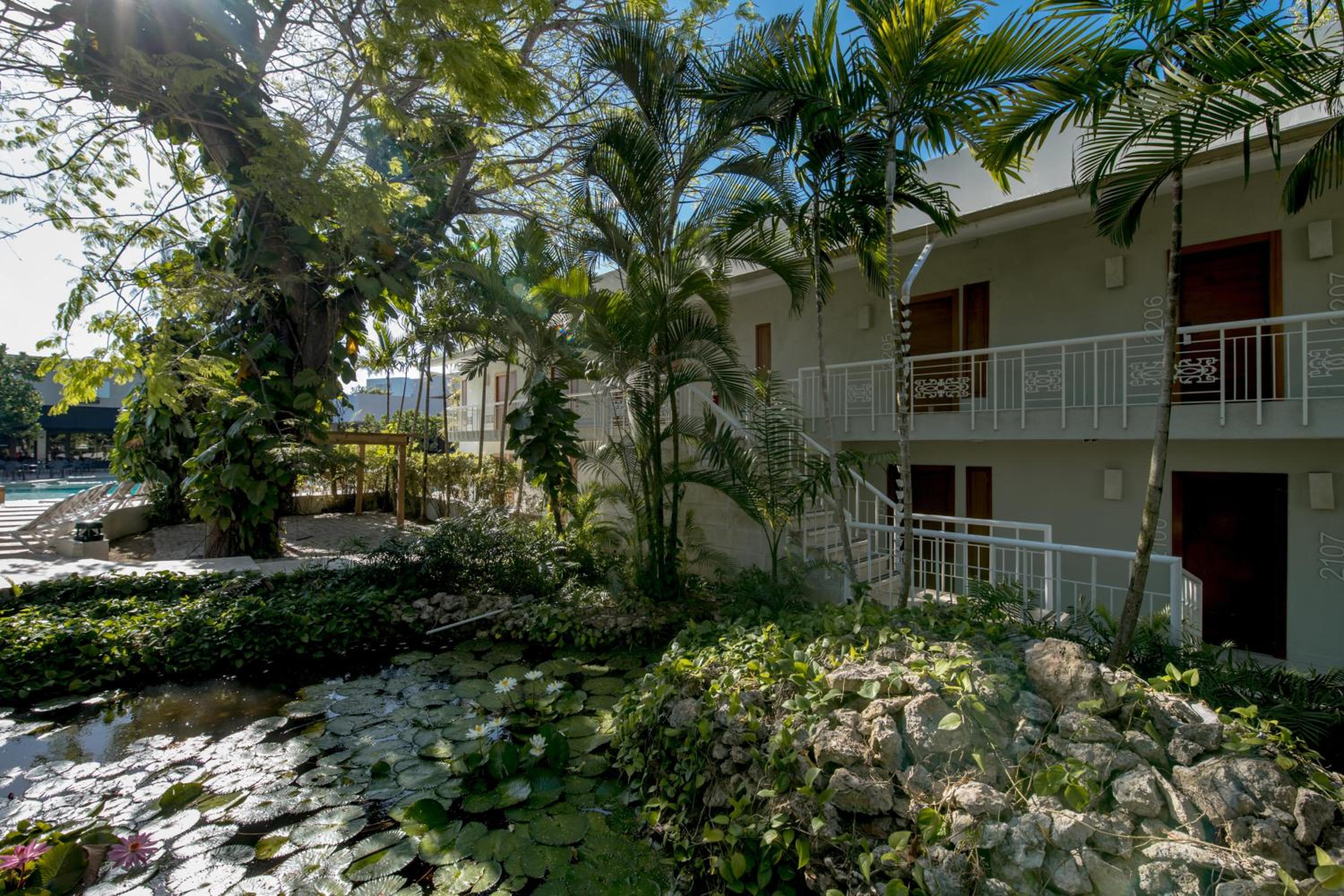 Juan Dolio Vacations - Emotions by Hodelpa - Juan Dolio - Property Image 93