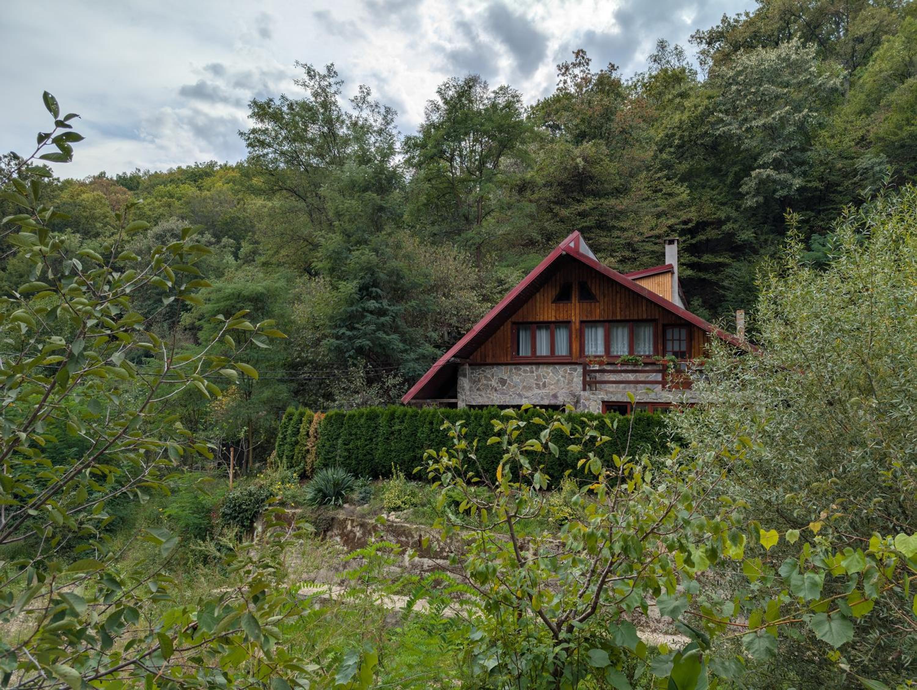 Casa din padure view 2