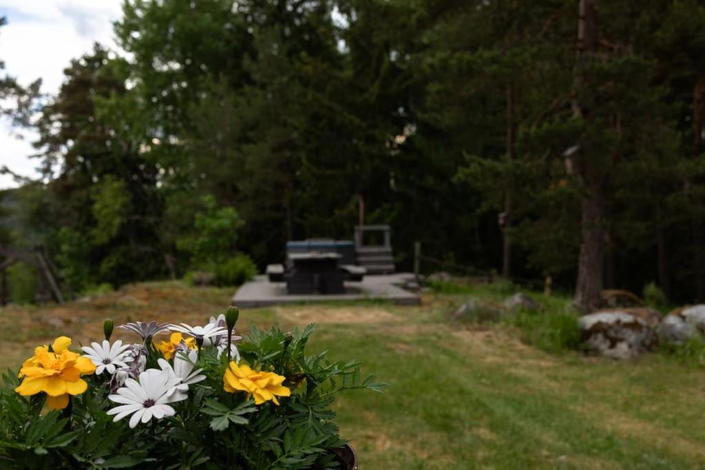 Keltainen talo - tilava huvila lähellä Saloa