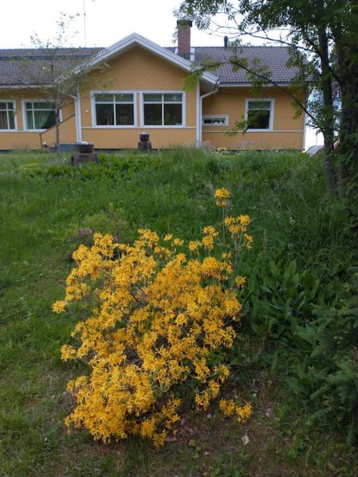 Keltainen talo - tilava huvila lähellä Saloa