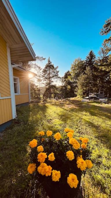 Keltainen talo - tilava huvila lähellä Saloa
