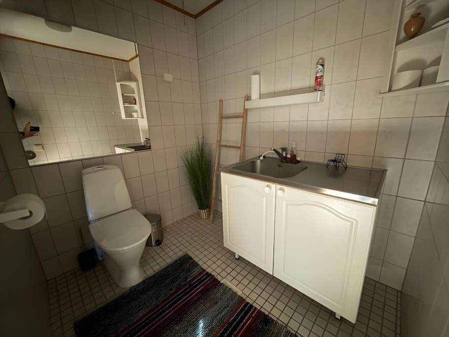 Keltainen talo - tilava huvila lähellä Saloa