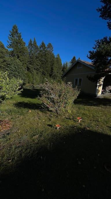 Keltainen talo - tilava huvila lähellä Saloa