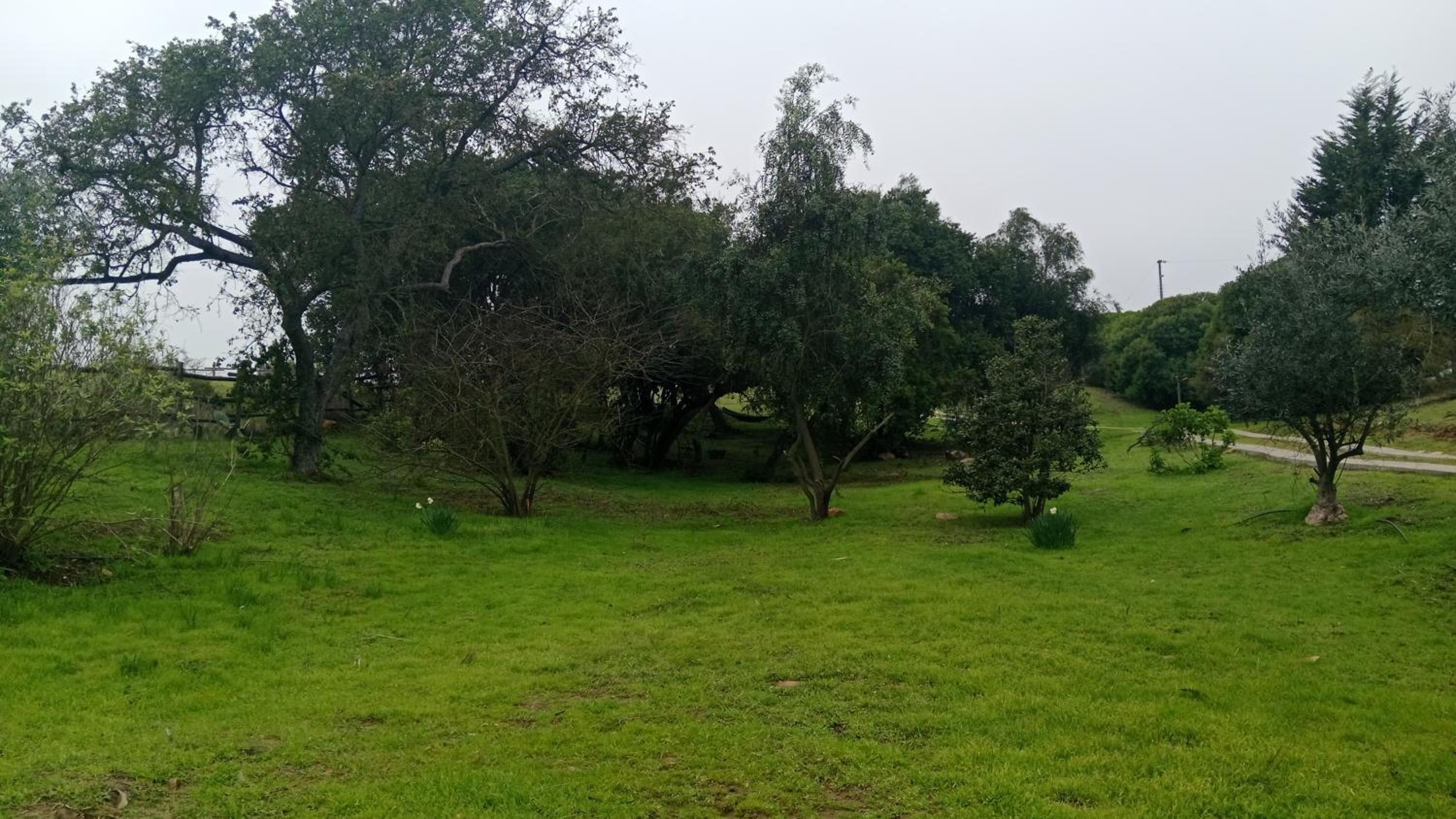 MoradadelValle