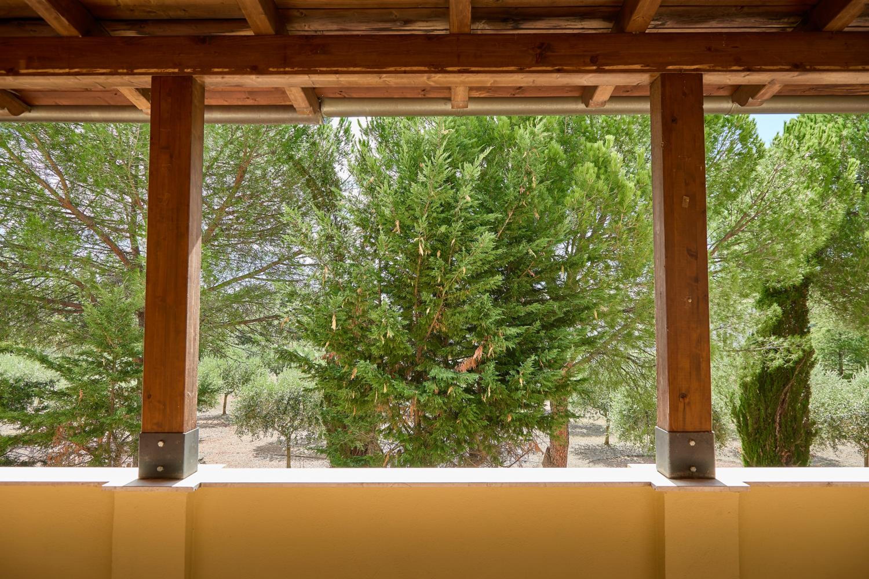Sottoassisi - Guest House view 5