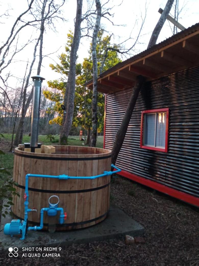 Cabaña en el bosque